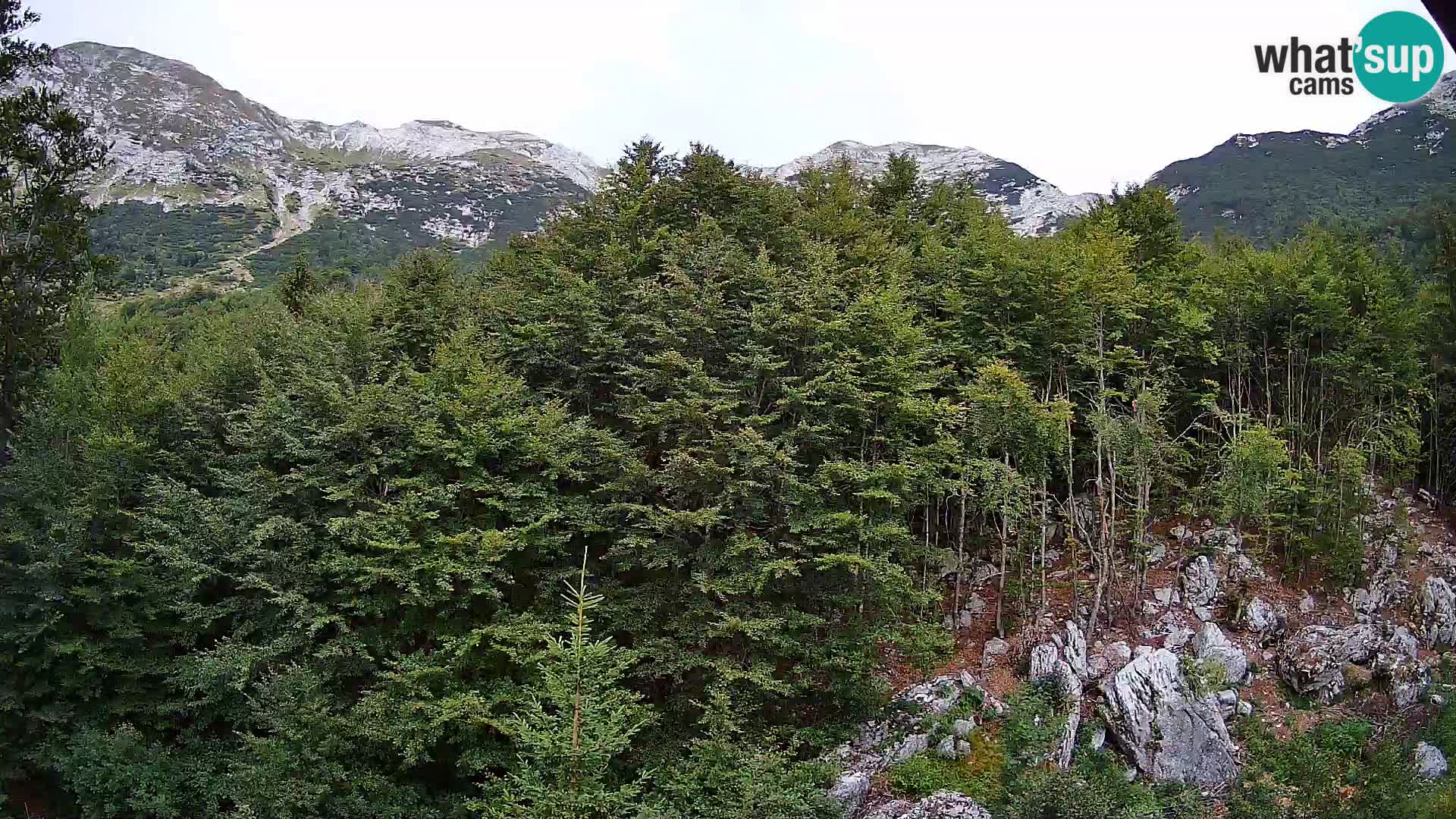 PLANINA RAZOR webcam (1315) | view to Vogel and Globoko