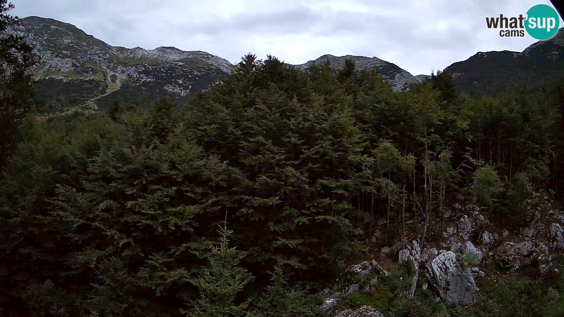 PLANINA RAZOR Live Cam (1315) | vista su Vogel e Globoko