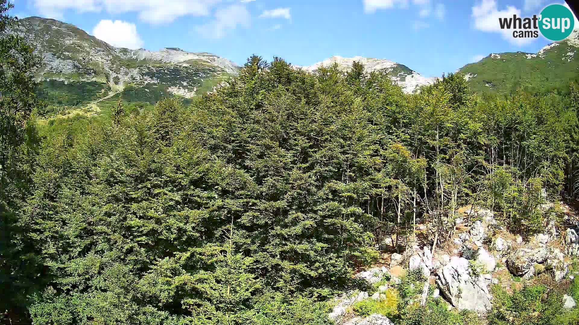 PLANINA RAZOR kamera (1315) | pogled na Vogel in Globoko