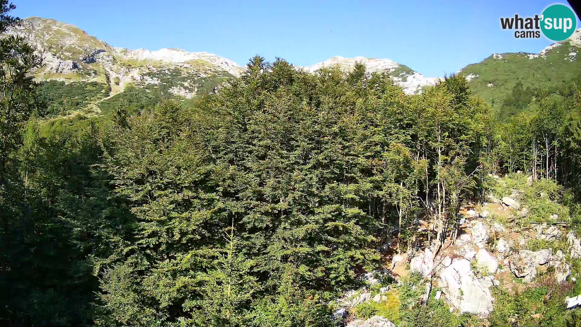 PLANINA RAZOR webcam (1315) | view to Vogel and Globoko