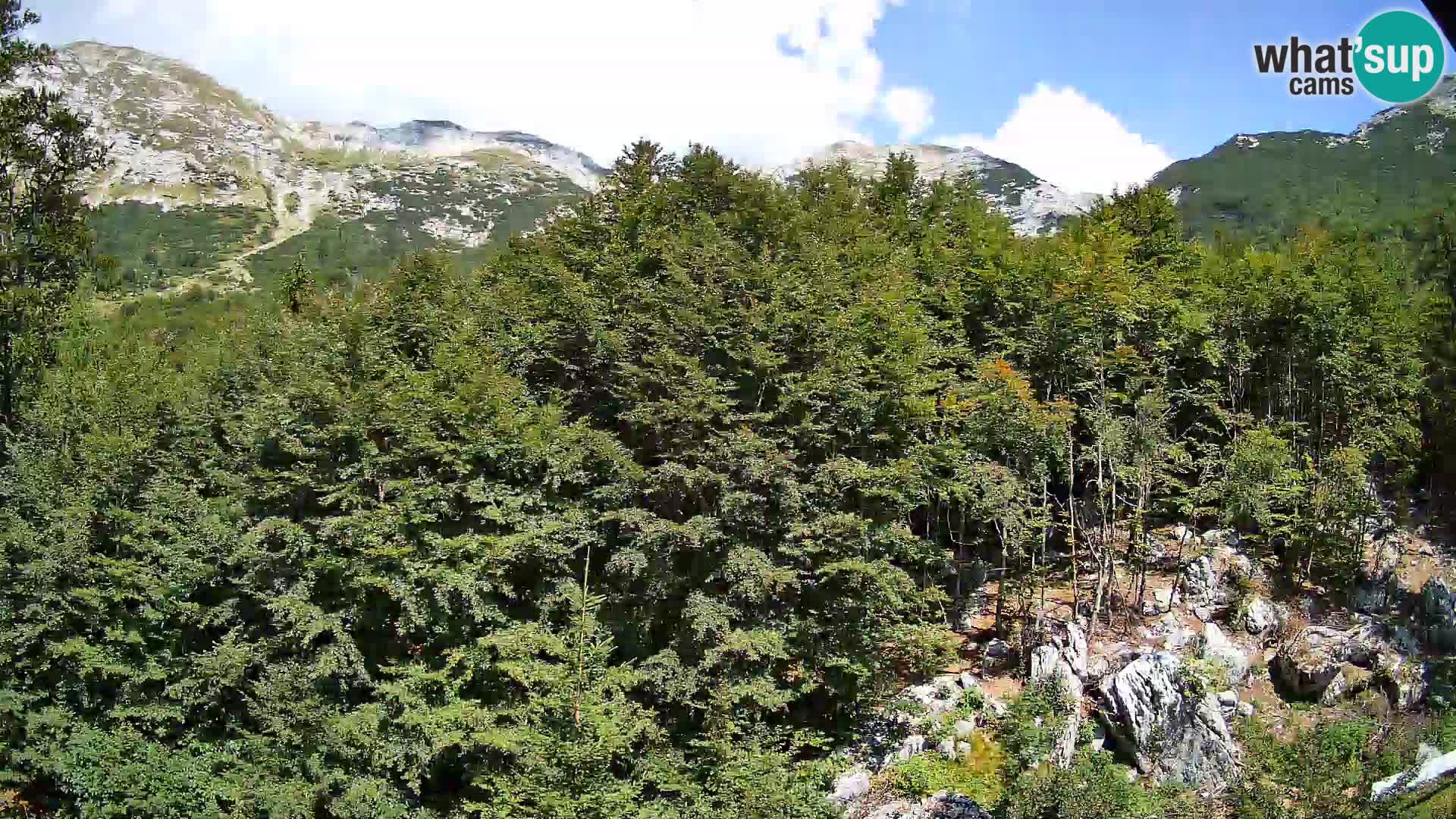 Livecam PLANINA RAZOR (1315) | vue sur Vogel et Globoko