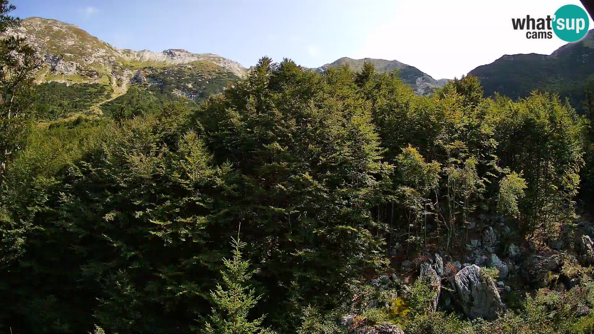 PLANINA RAZOR webcam (1315) | view to Vogel and Globoko