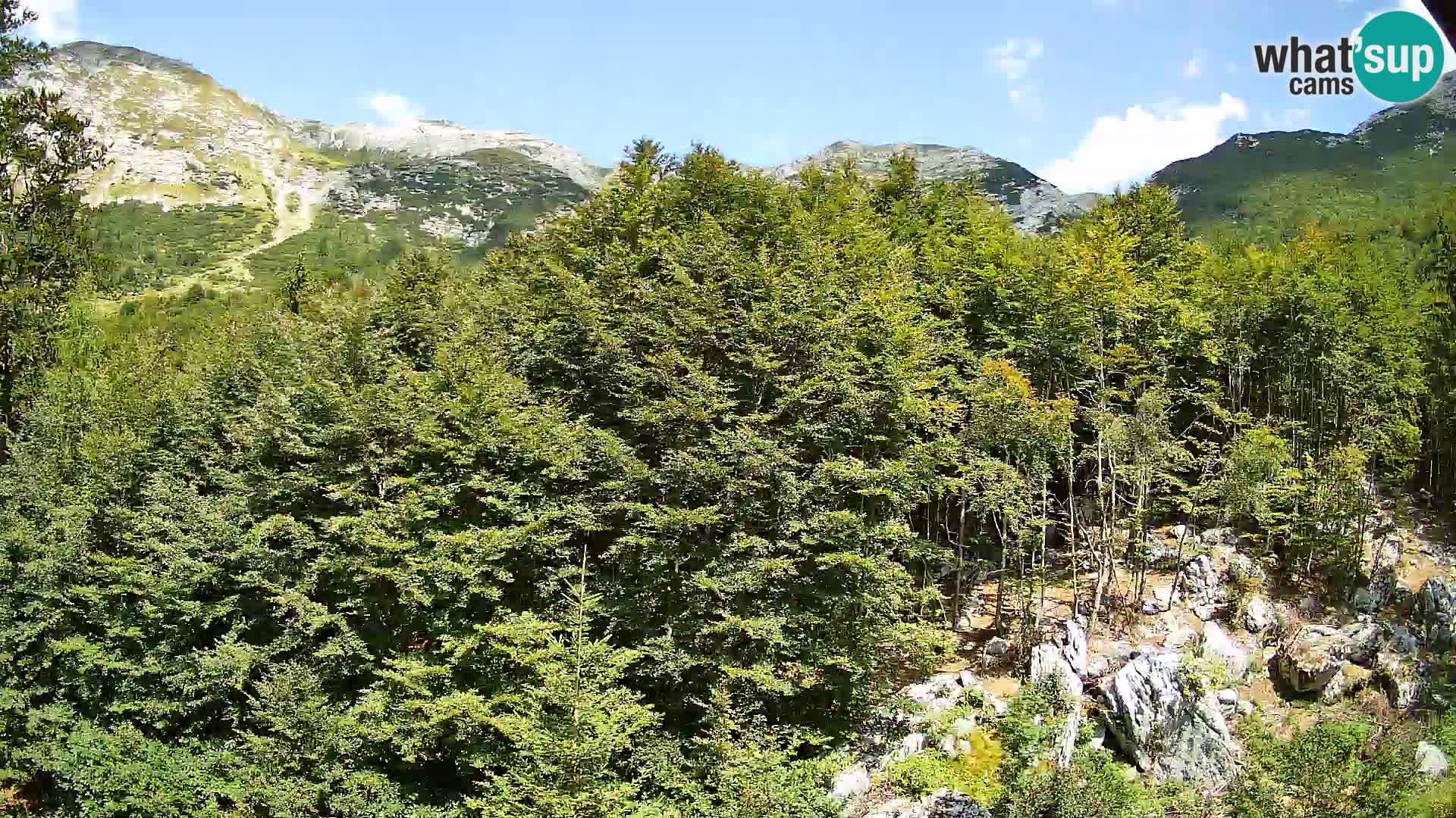 Livecam PLANINA RAZOR (1315) | vue sur Vogel et Globoko