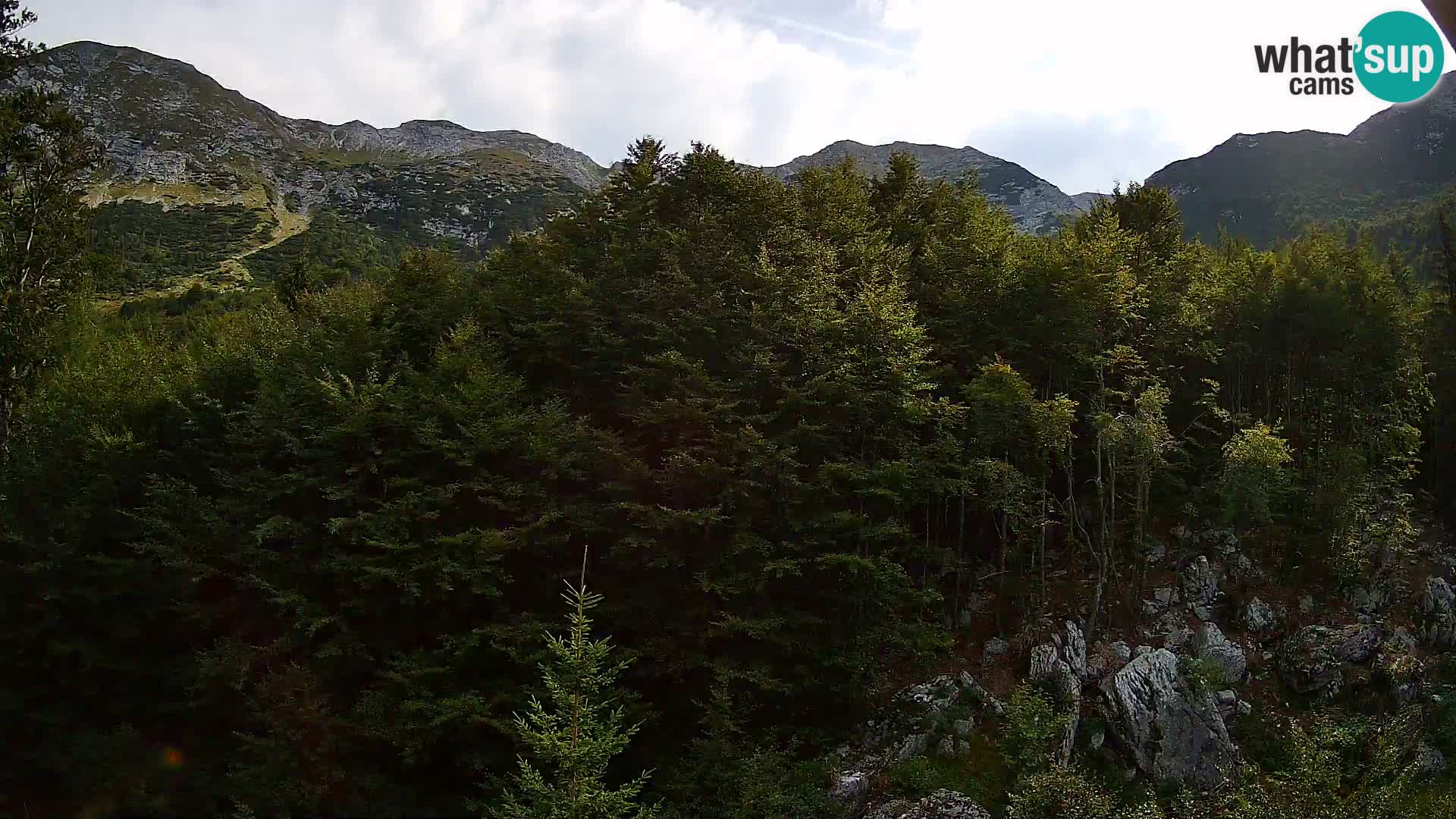PLANINA RAZOR webcam (1315) | view to Vogel and Globoko
