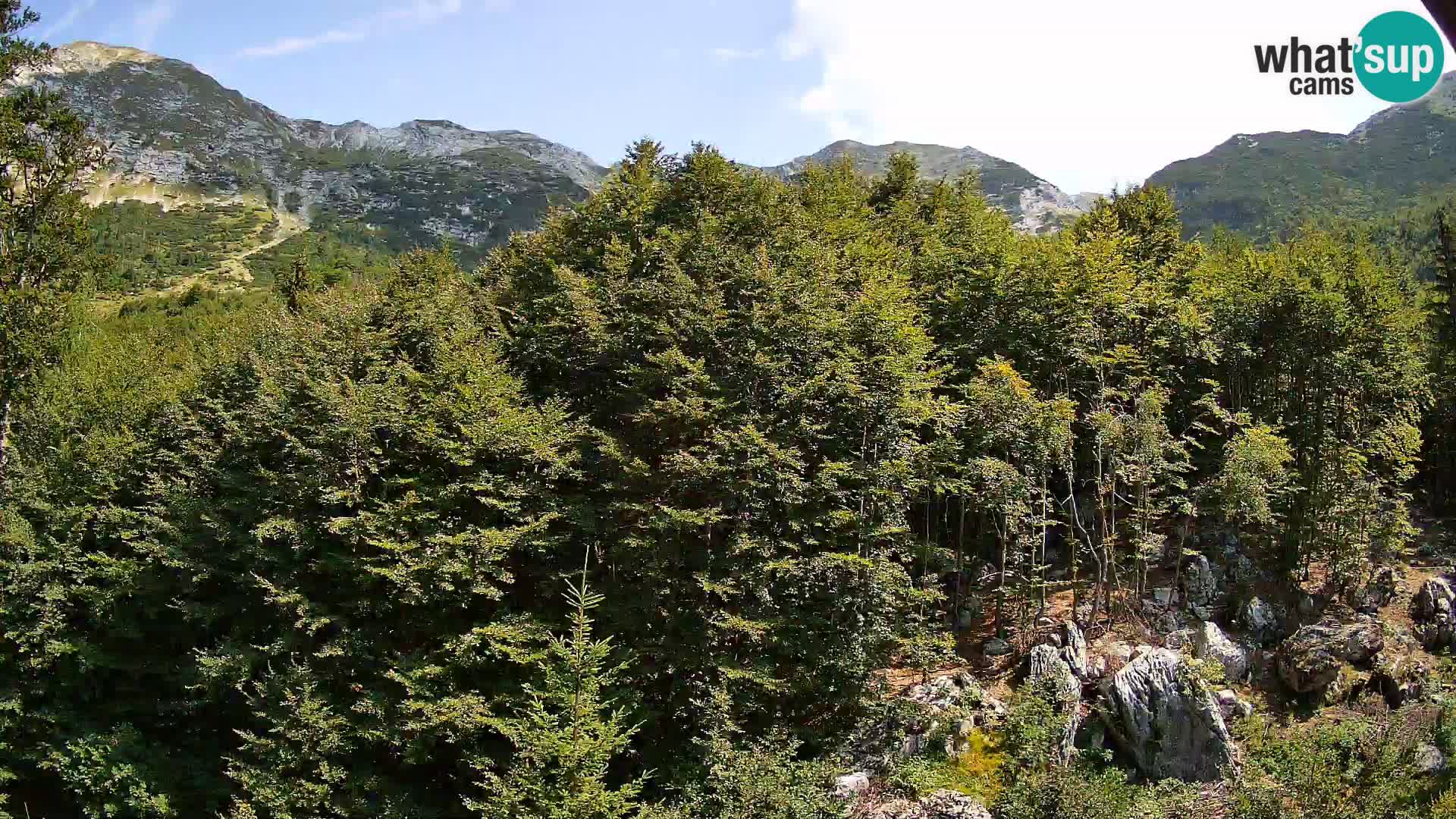 PLANINA RAZOR webcam (1315) | view to Vogel and Globoko