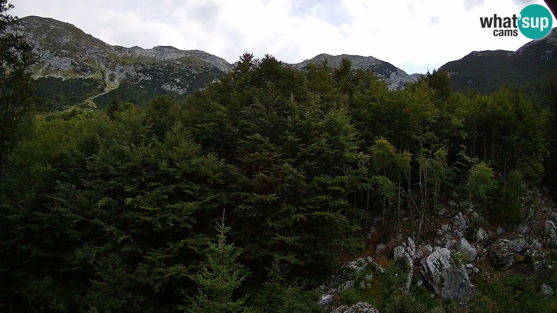 PLANINA RAZOR kamera (1315) | pogled na Vogel in Globoko