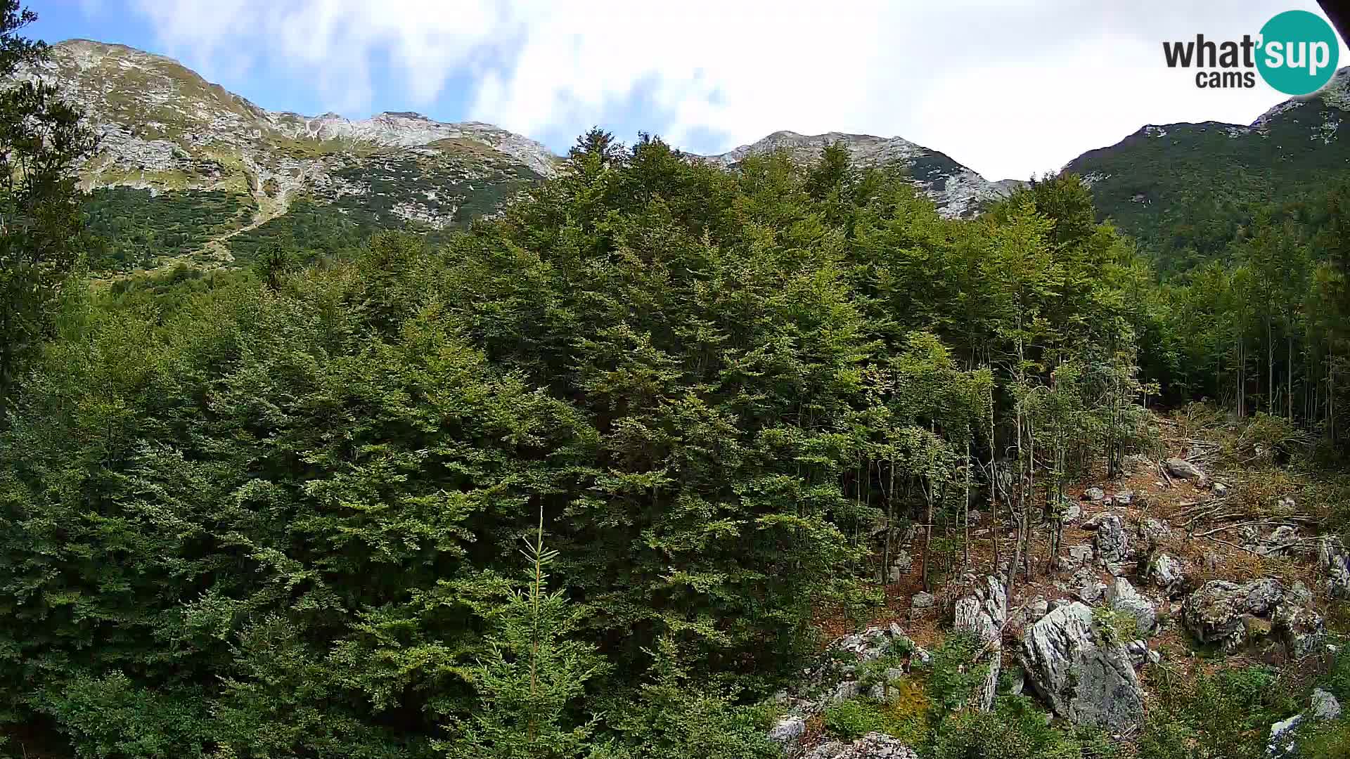PLANINA RAZOR Live Cam (1315) | vista su Vogel e Globoko