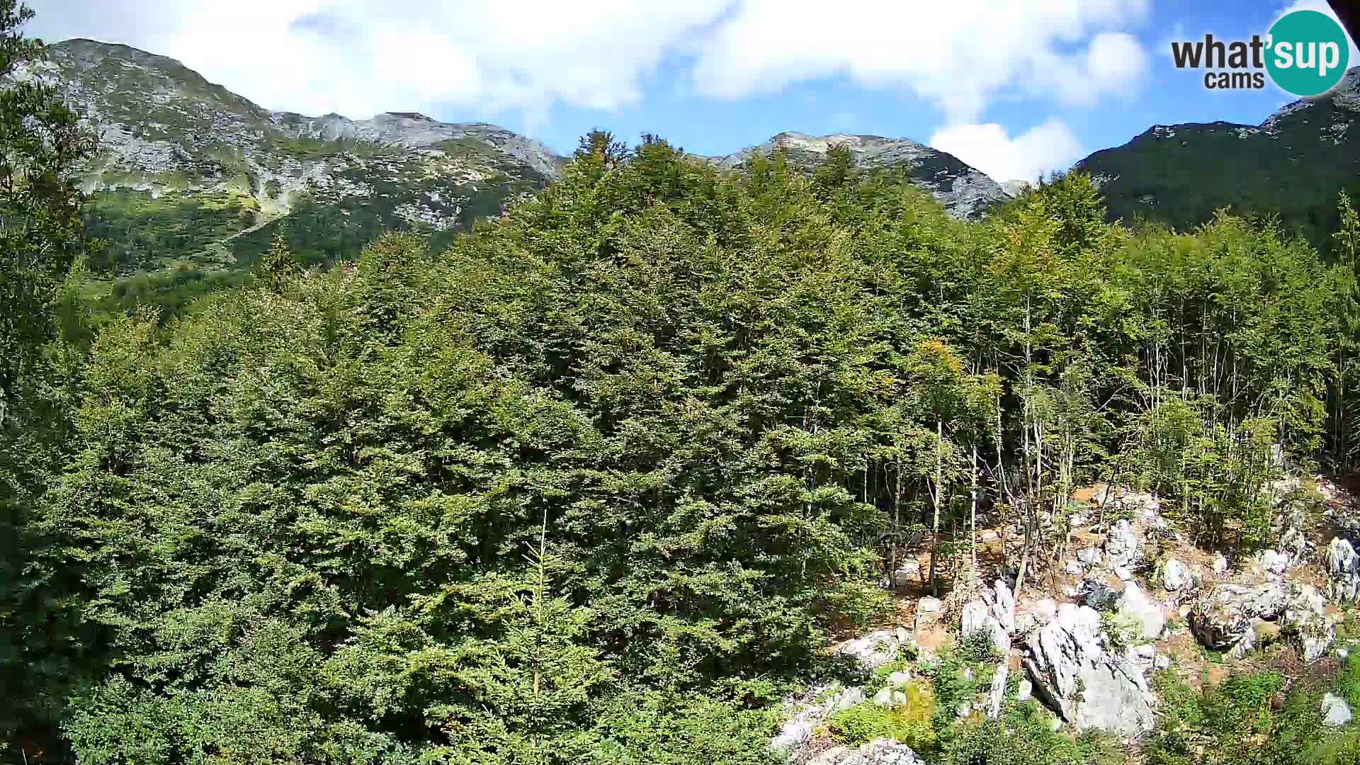 Cámara web PLANINA RAZOR (1315) | vista a Vogel y Globoko