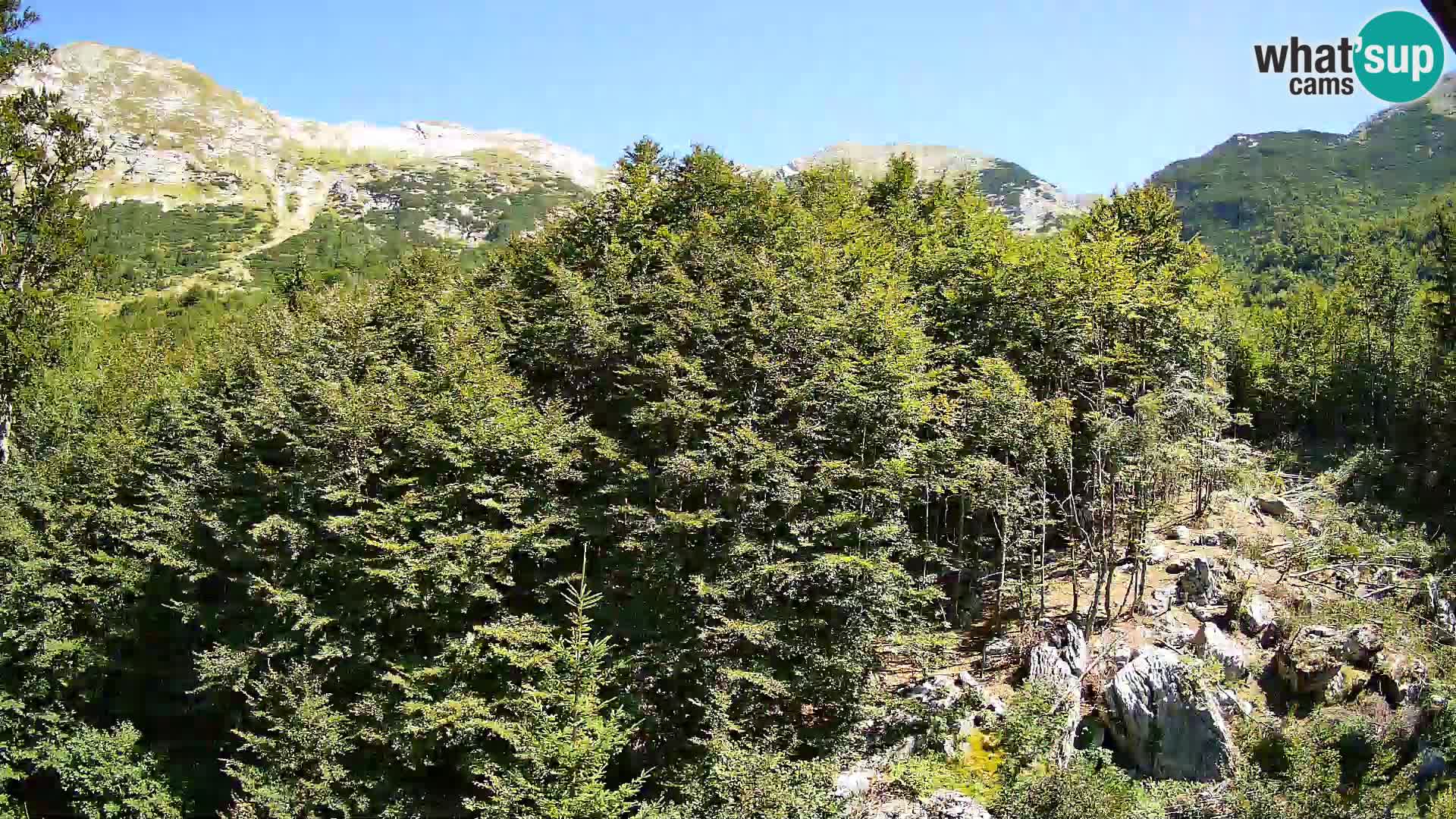 PLANINA RAZOR Live Cam (1315) | vista su Vogel e Globoko