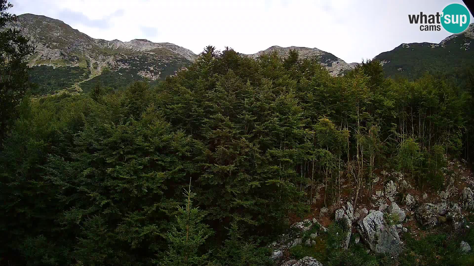Webcam PLANINA RAZOR (1315) | Blick auf Vogel und Globoko