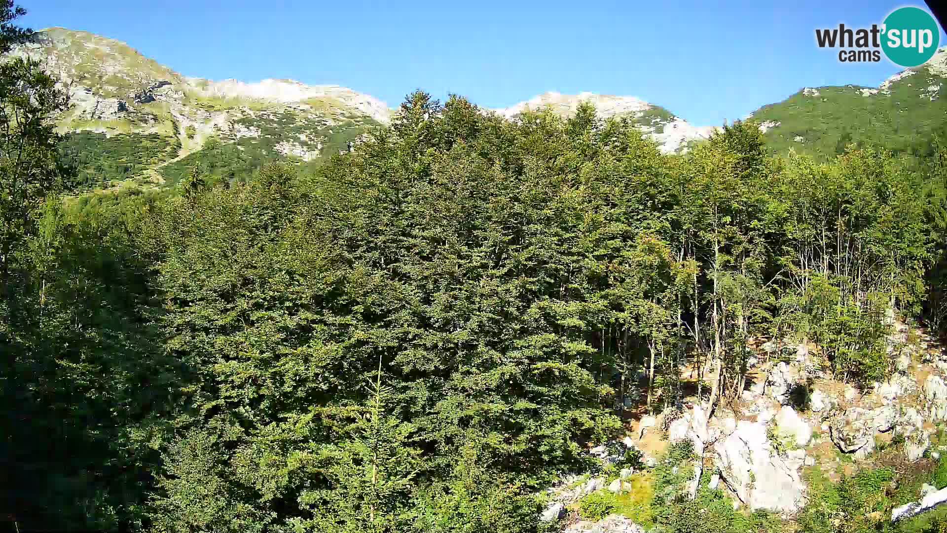 PLANINA RAZOR kamera (1315) | pogled na Vogel in Globoko