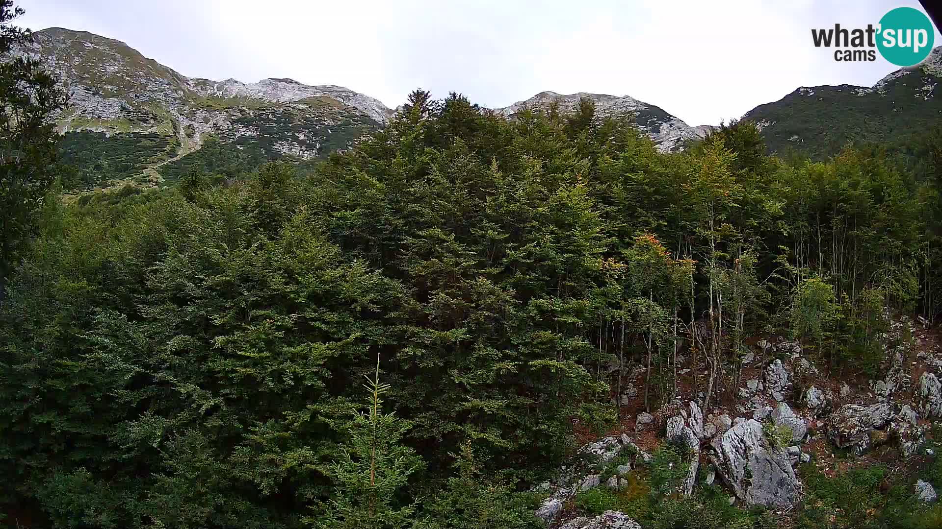 Livecam PLANINA RAZOR (1315) | vue sur Vogel et Globoko