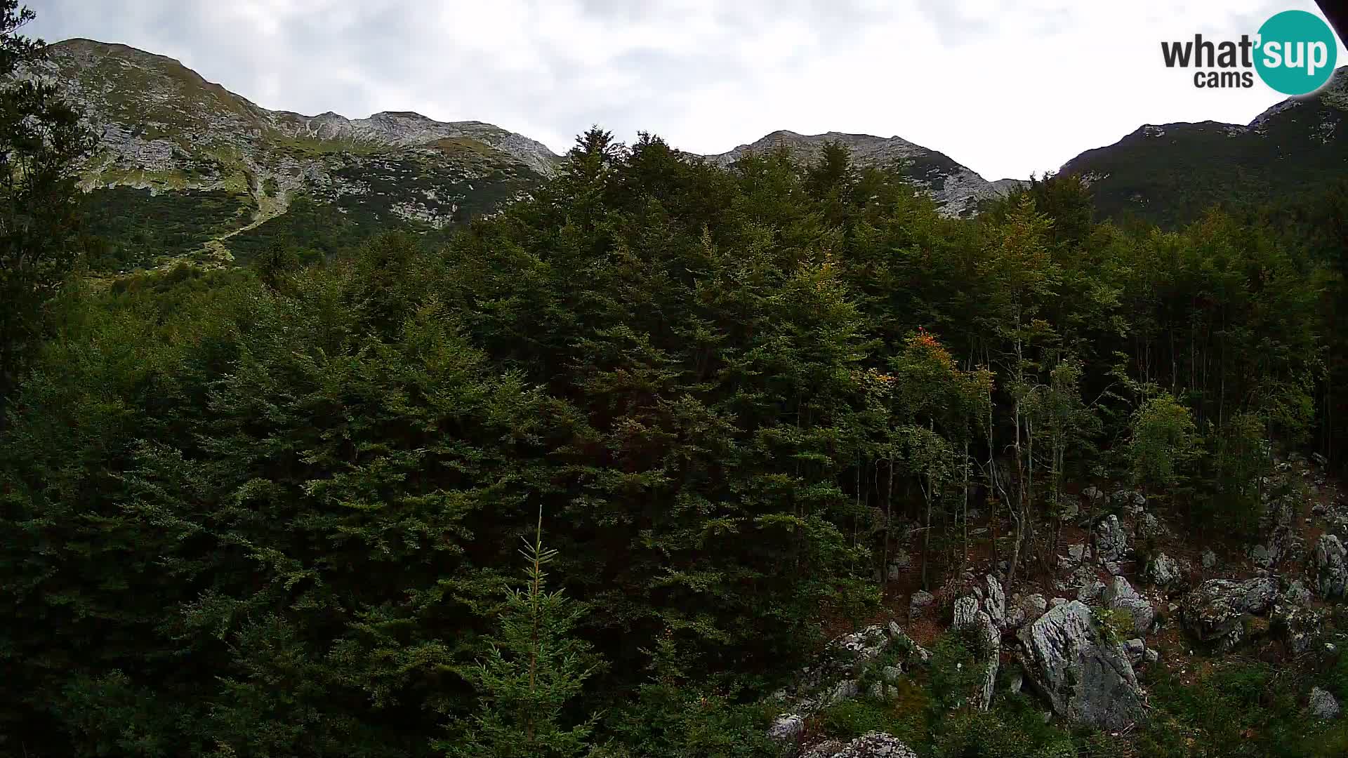 PLANINA RAZOR Live Cam (1315) | vista su Vogel e Globoko