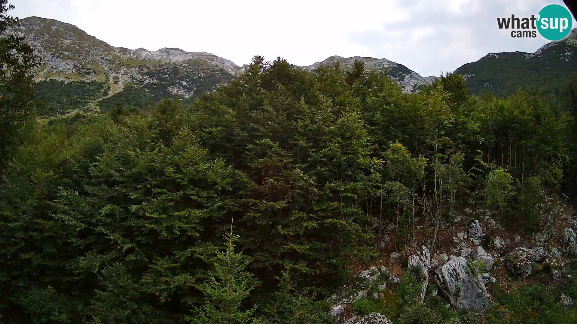 PLANINA RAZOR Live Cam (1315) | vista su Vogel e Globoko
