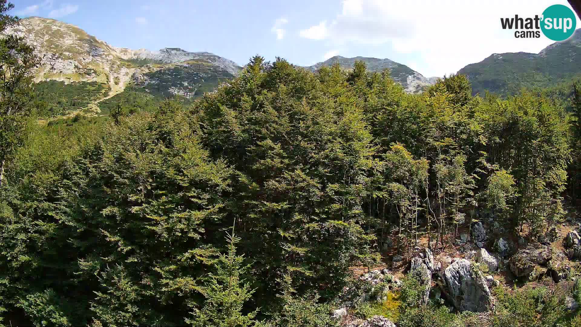 PLANINA RAZOR webcam (1315) | view to Vogel and Globoko