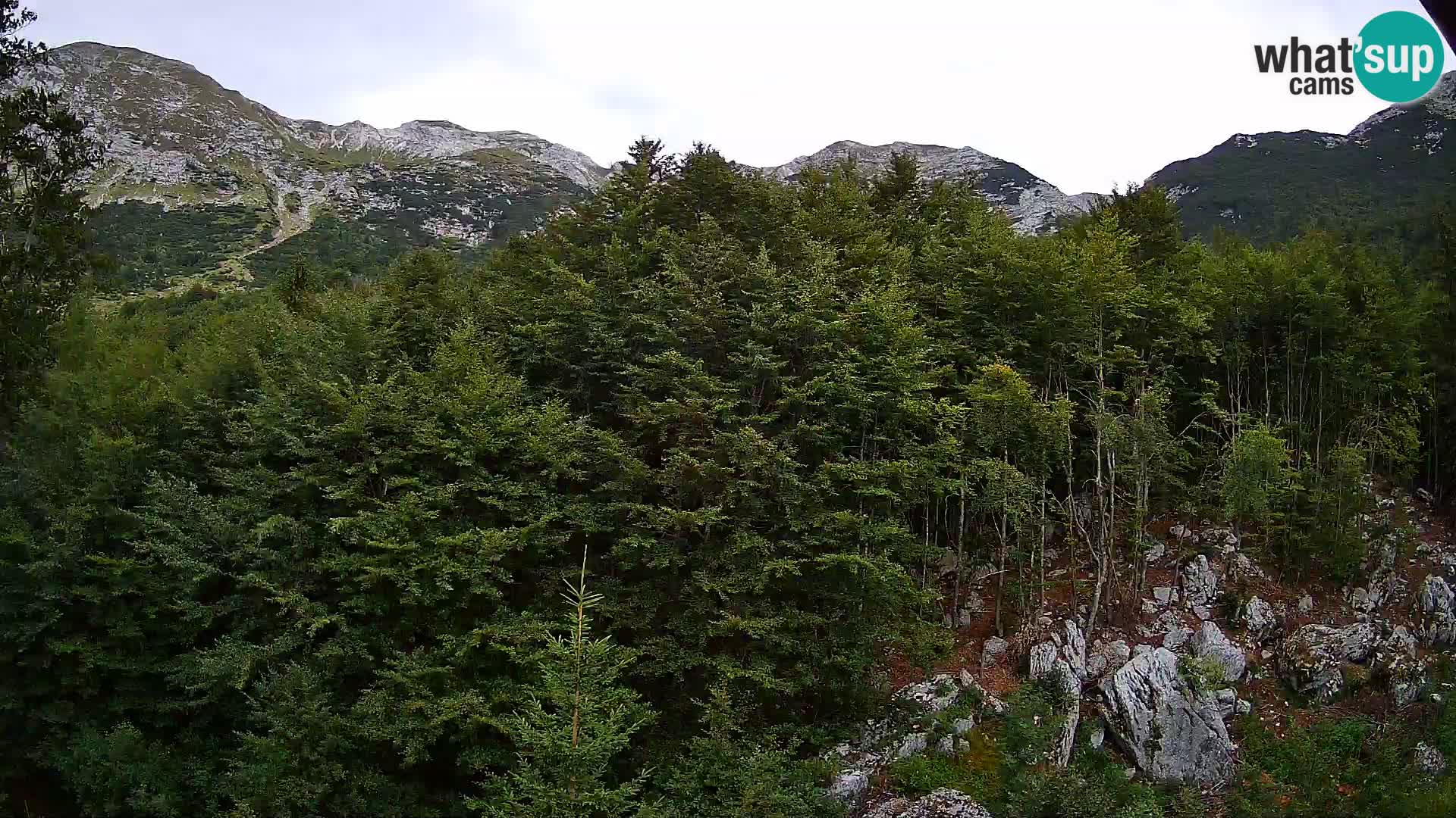 Livecam PLANINA RAZOR (1315) | vue sur Vogel et Globoko