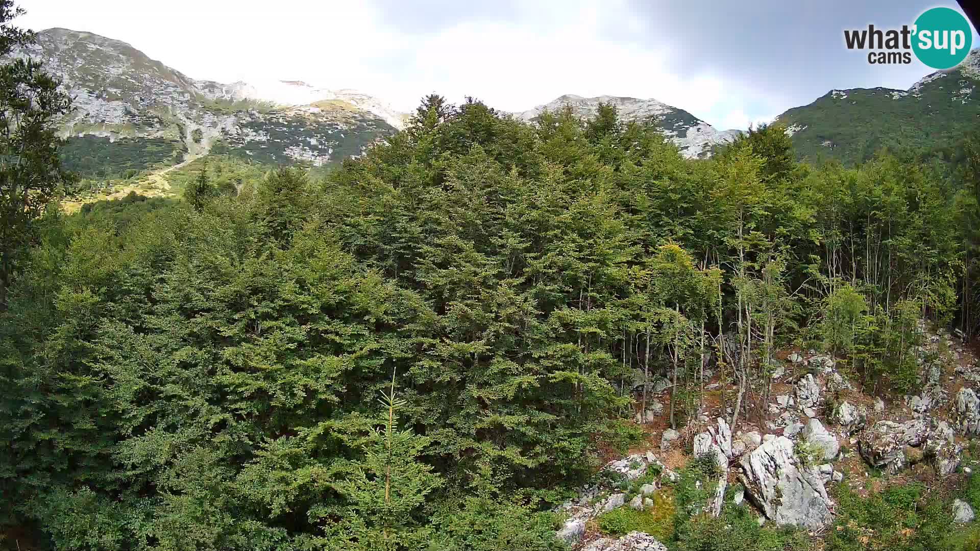 Webcam PLANINA RAZOR (1315) | Blick auf Vogel und Globoko