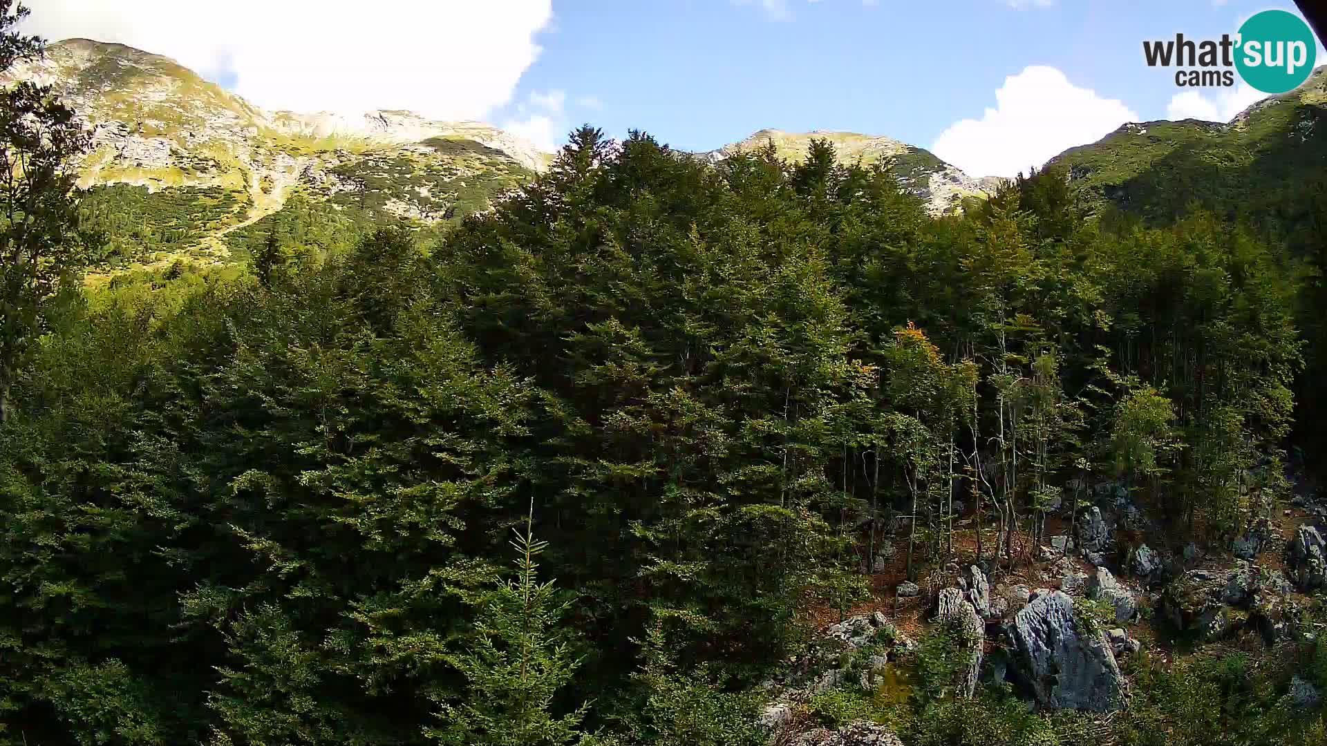 Livecam PLANINA RAZOR (1315) | vue sur Vogel et Globoko