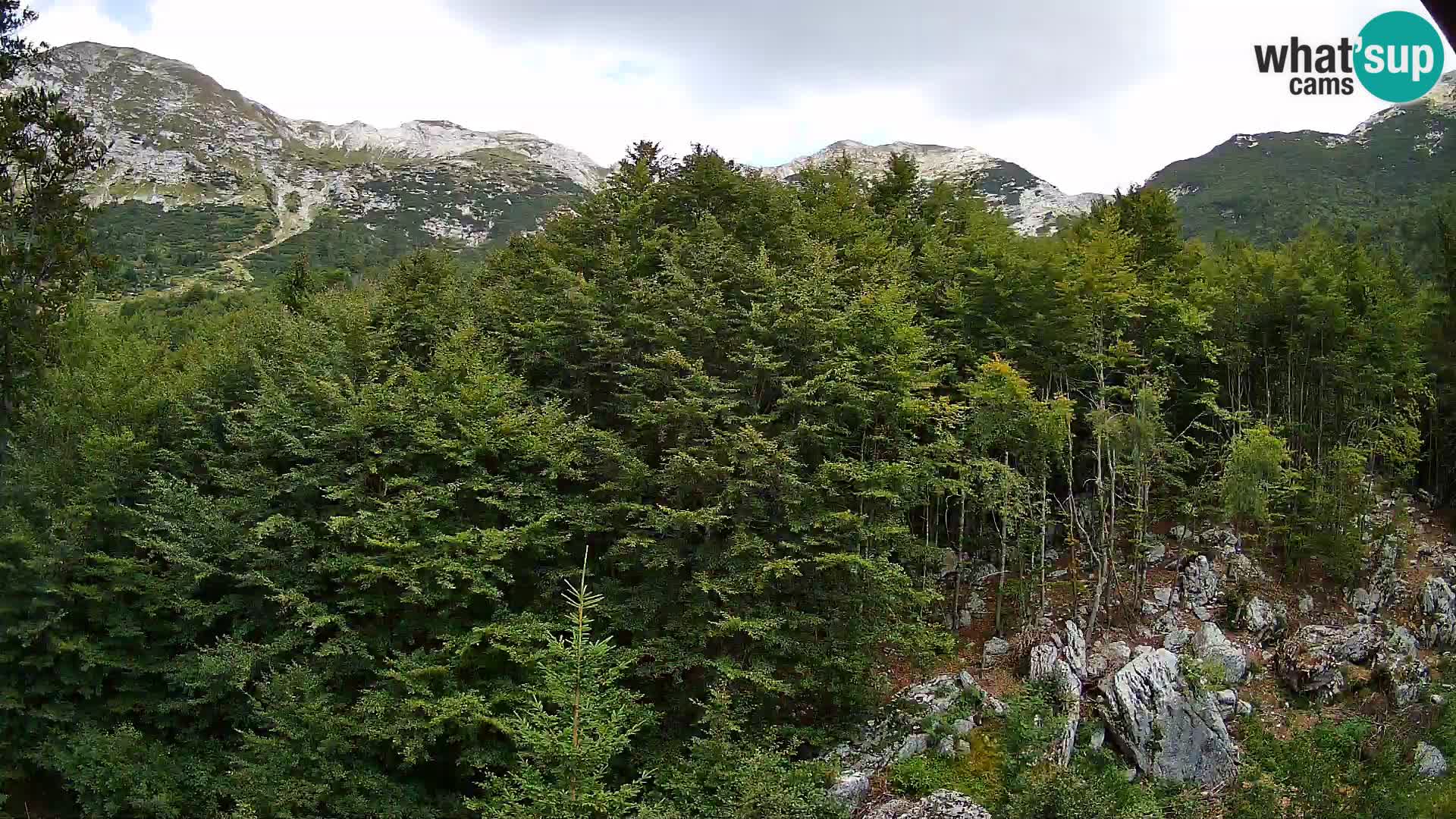Webcam PLANINA RAZOR (1315) | Blick auf Vogel und Globoko