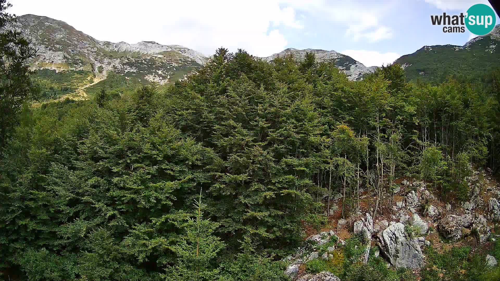 PLANINA RAZOR kamera (1315) | pogled na Vogel in Globoko