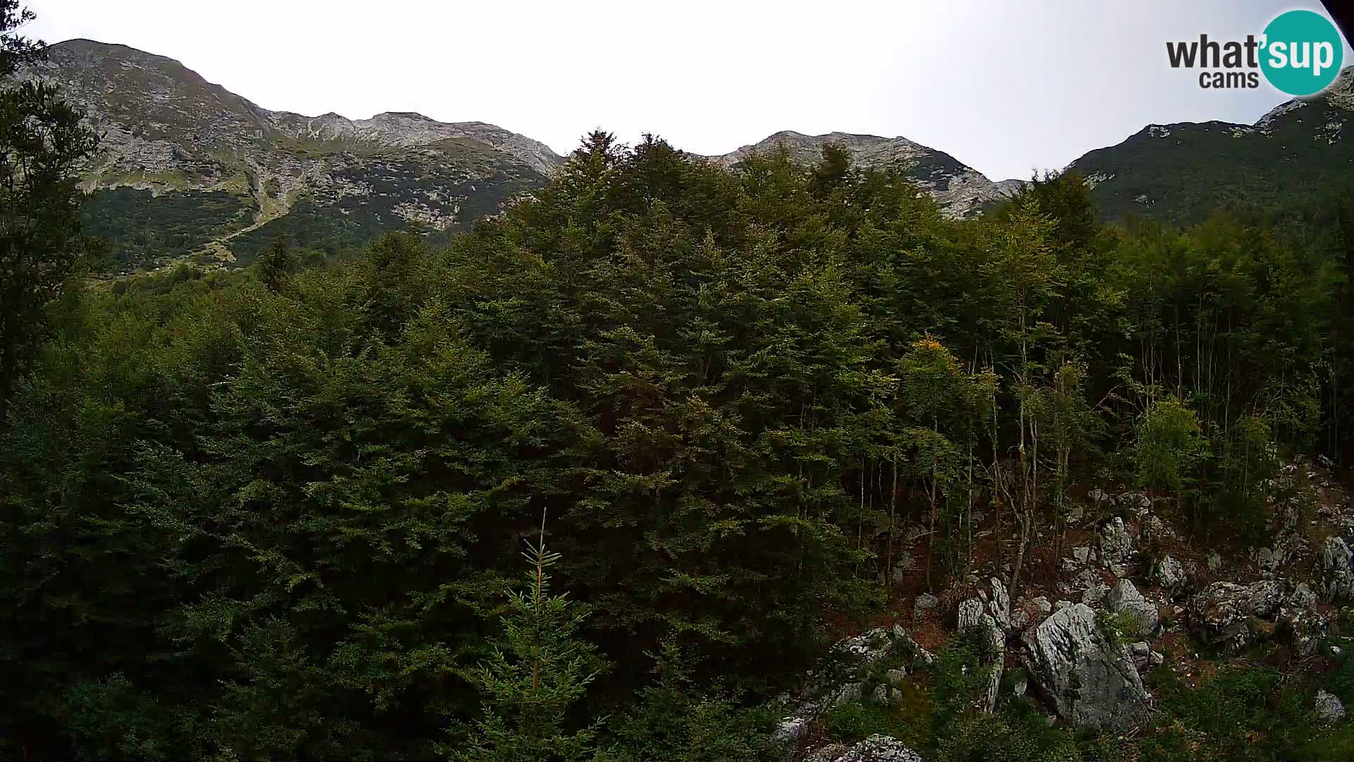 PLANINA RAZOR webcam (1315) | view to Vogel and Globoko