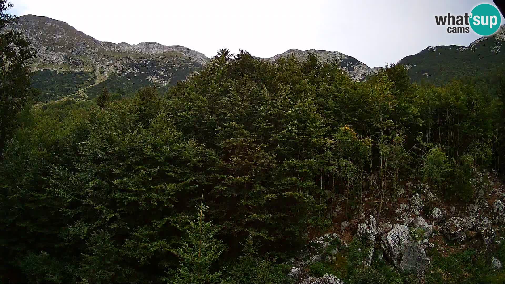 Webcam PLANINA RAZOR (1315) | Blick auf Vogel und Globoko
