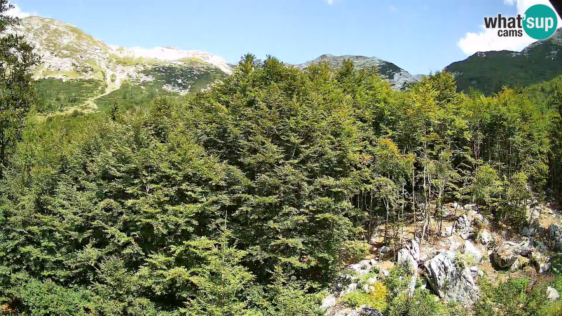 PLANINA RAZOR Live Cam (1315) | vista su Vogel e Globoko