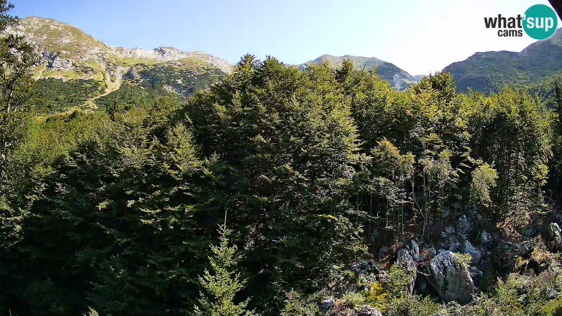 PLANINA RAZOR webcam (1315) | view to Vogel and Globoko