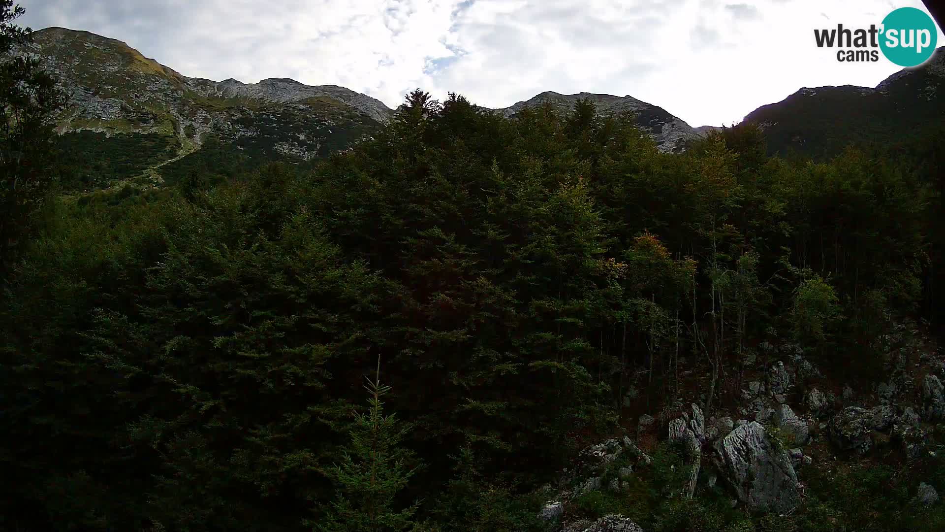 Webcam PLANINA RAZOR (1315) | Blick auf Vogel und Globoko