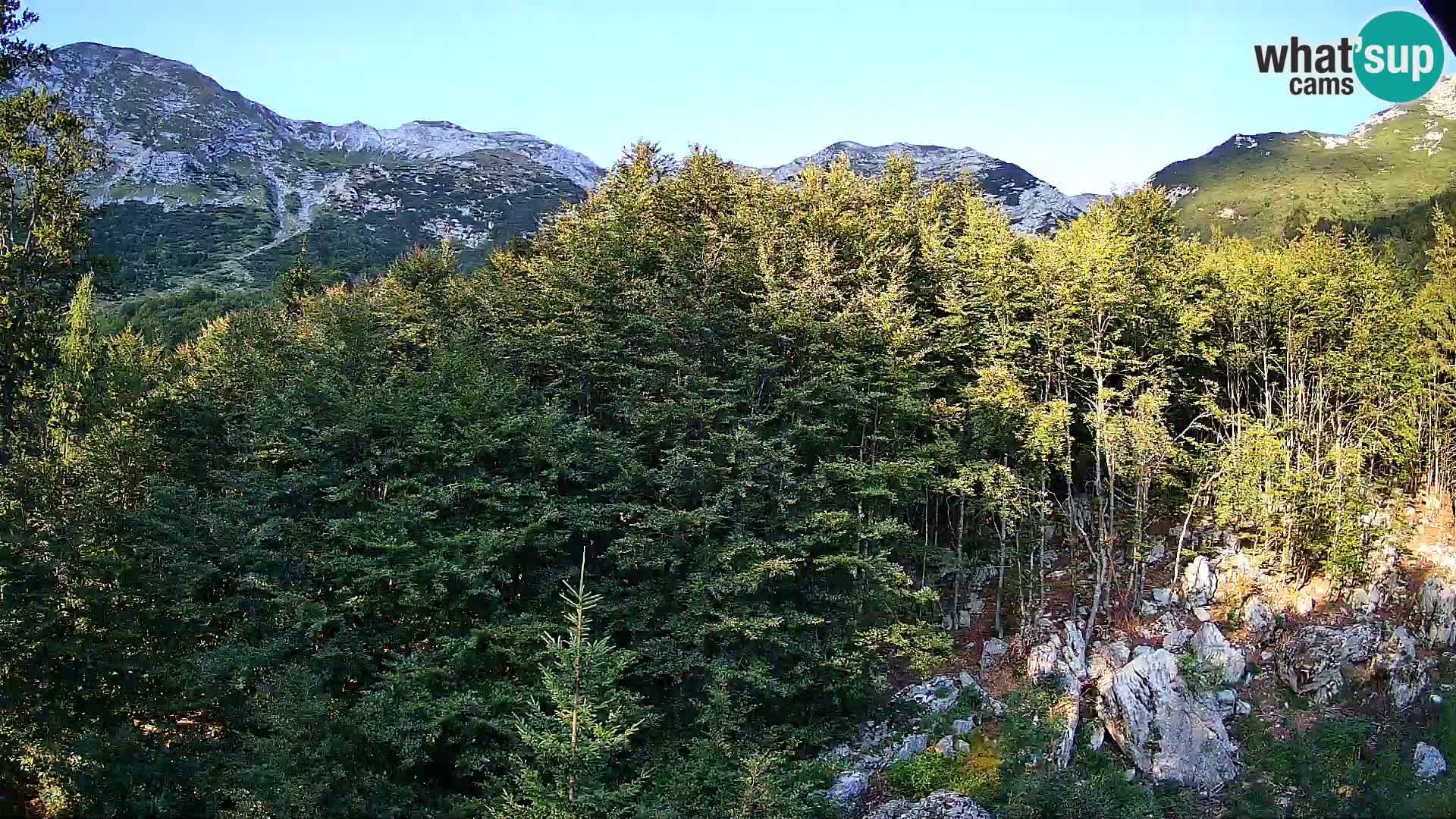 Livecam PLANINA RAZOR (1315) | vue sur Vogel et Globoko
