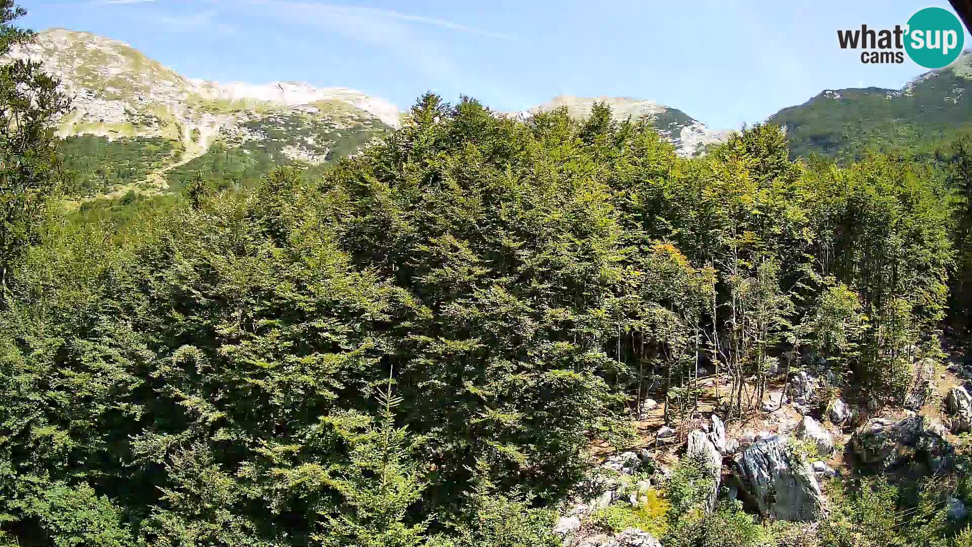 Cámara web PLANINA RAZOR (1315) | vista a Vogel y Globoko