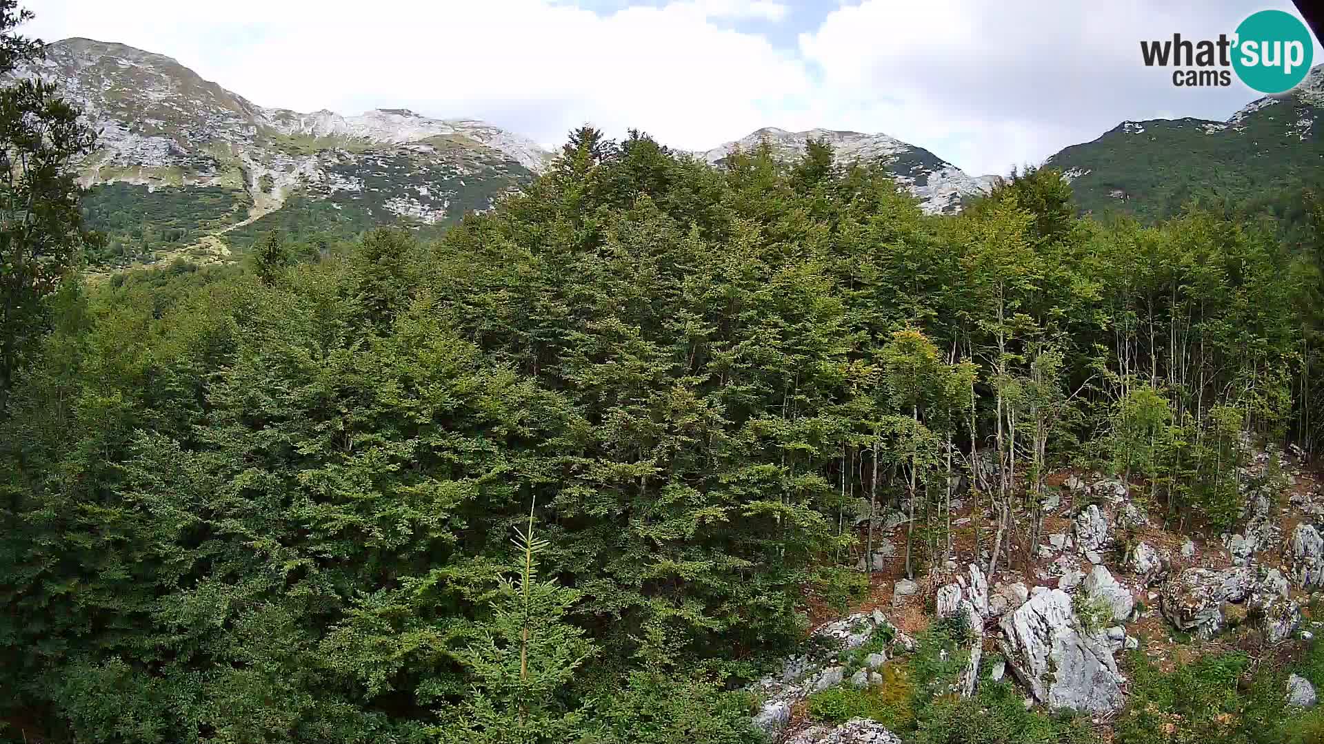 Livecam PLANINA RAZOR (1315) | vue sur Vogel et Globoko