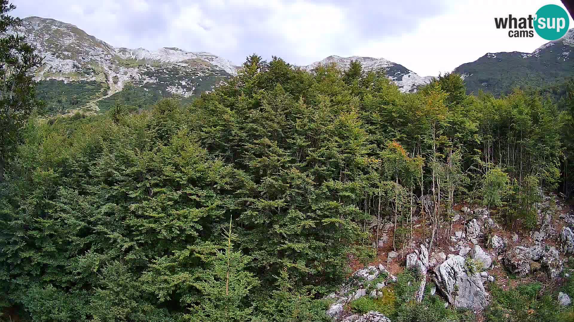 PLANINA RAZOR Live Cam (1315) | vista su Vogel e Globoko