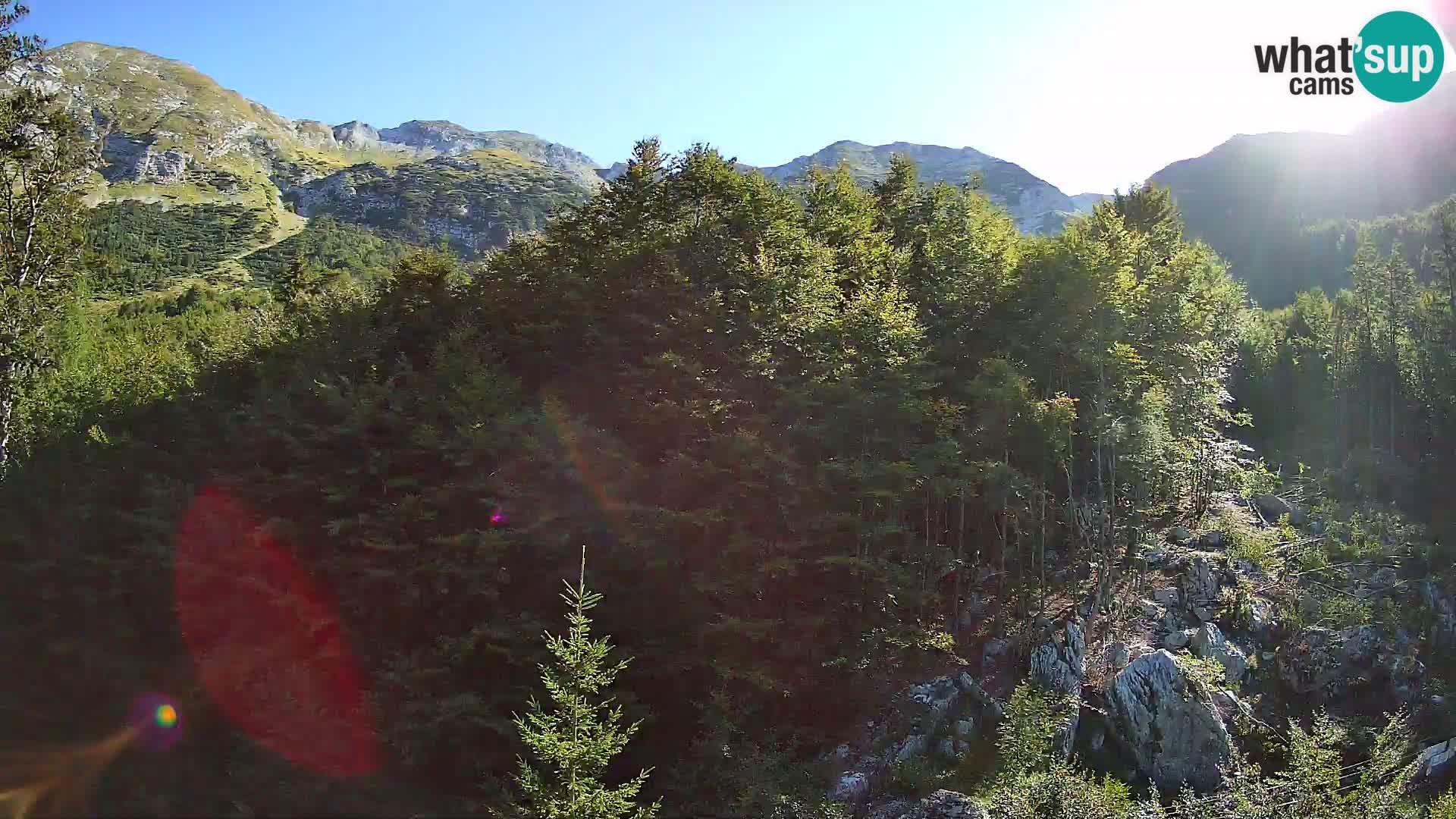 Webcam PLANINA RAZOR (1315) | Blick auf Vogel und Globoko