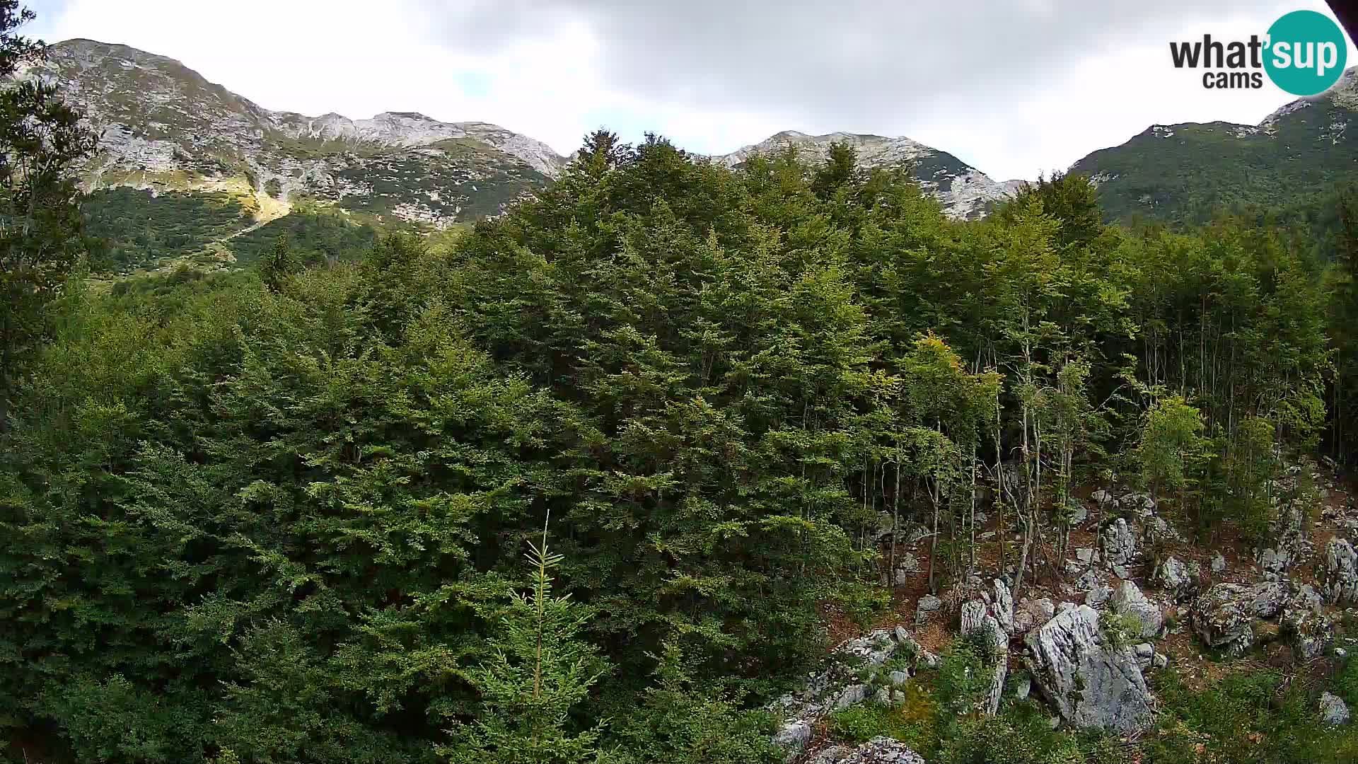 PLANINA RAZOR Live Cam (1315) | vista su Vogel e Globoko