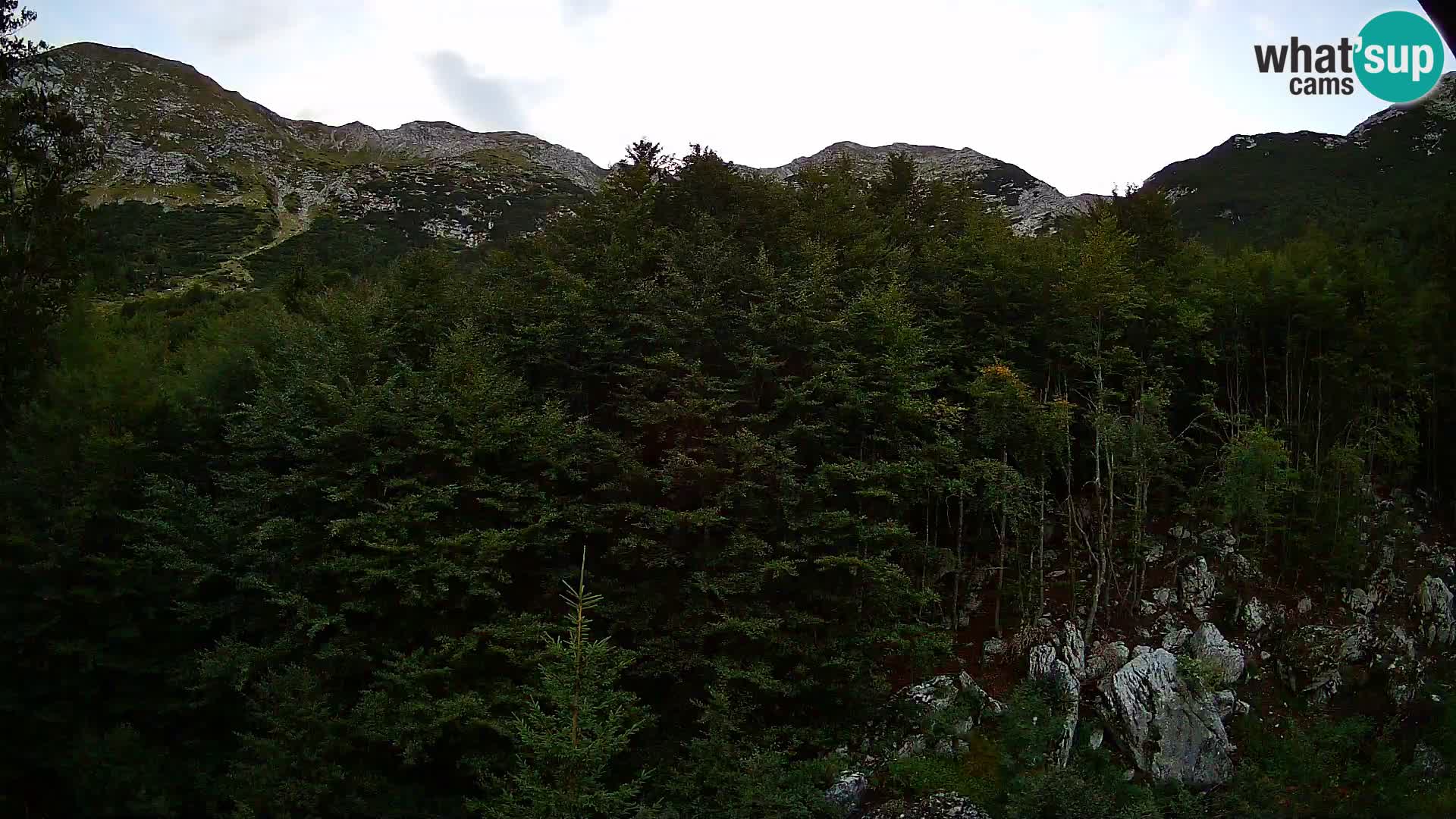 PLANINA RAZOR kamera (1315) | pogled na Vogel in Globoko