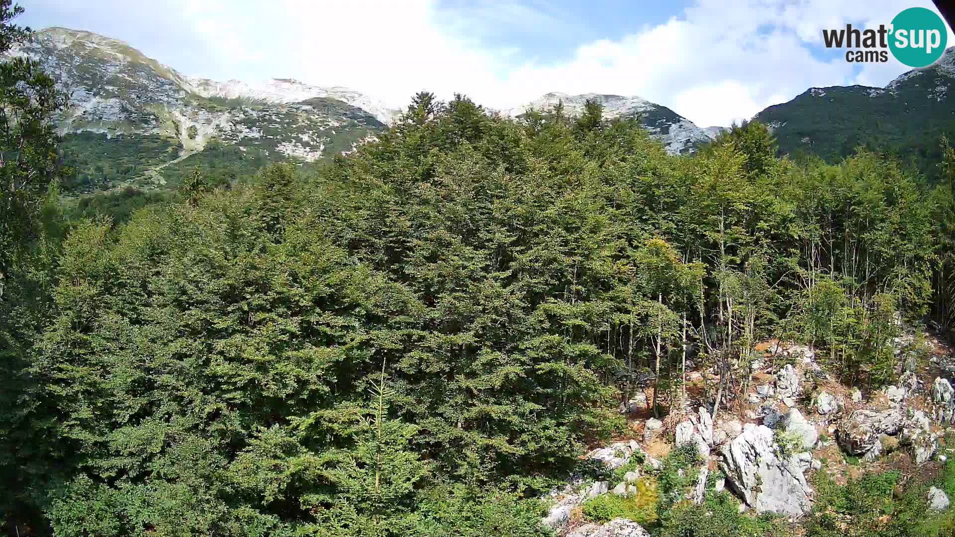 Cámara web PLANINA RAZOR (1315) | vista a Vogel y Globoko