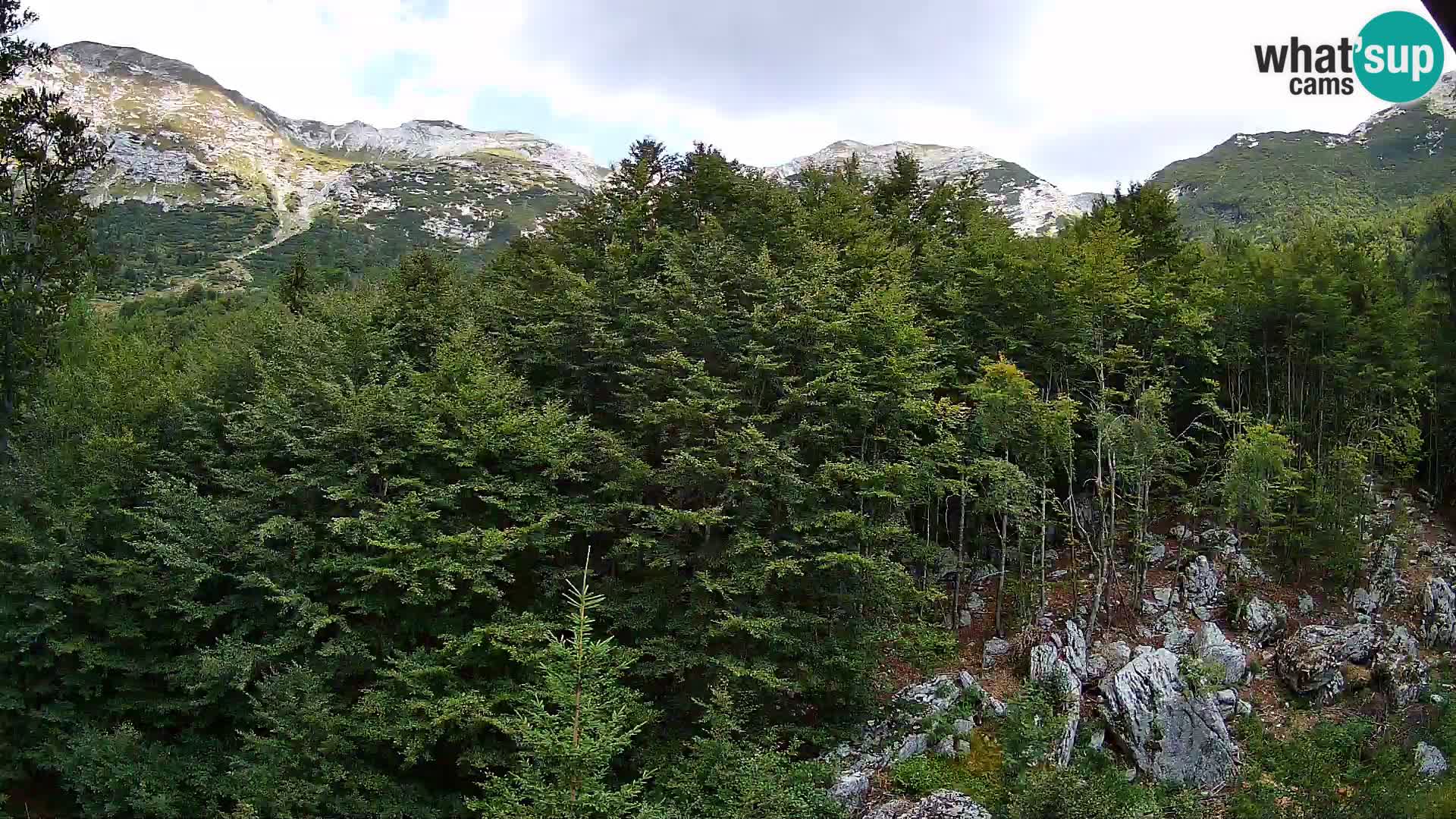 Livecam PLANINA RAZOR (1315) | vue sur Vogel et Globoko