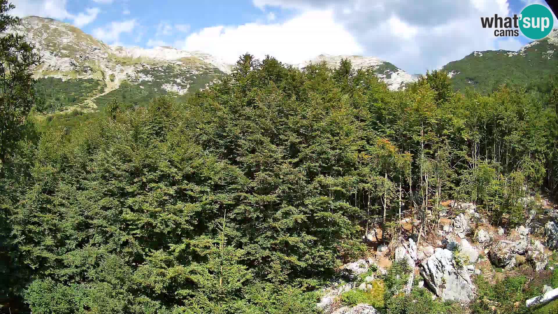 PLANINA RAZOR Live Cam (1315) | vista su Vogel e Globoko
