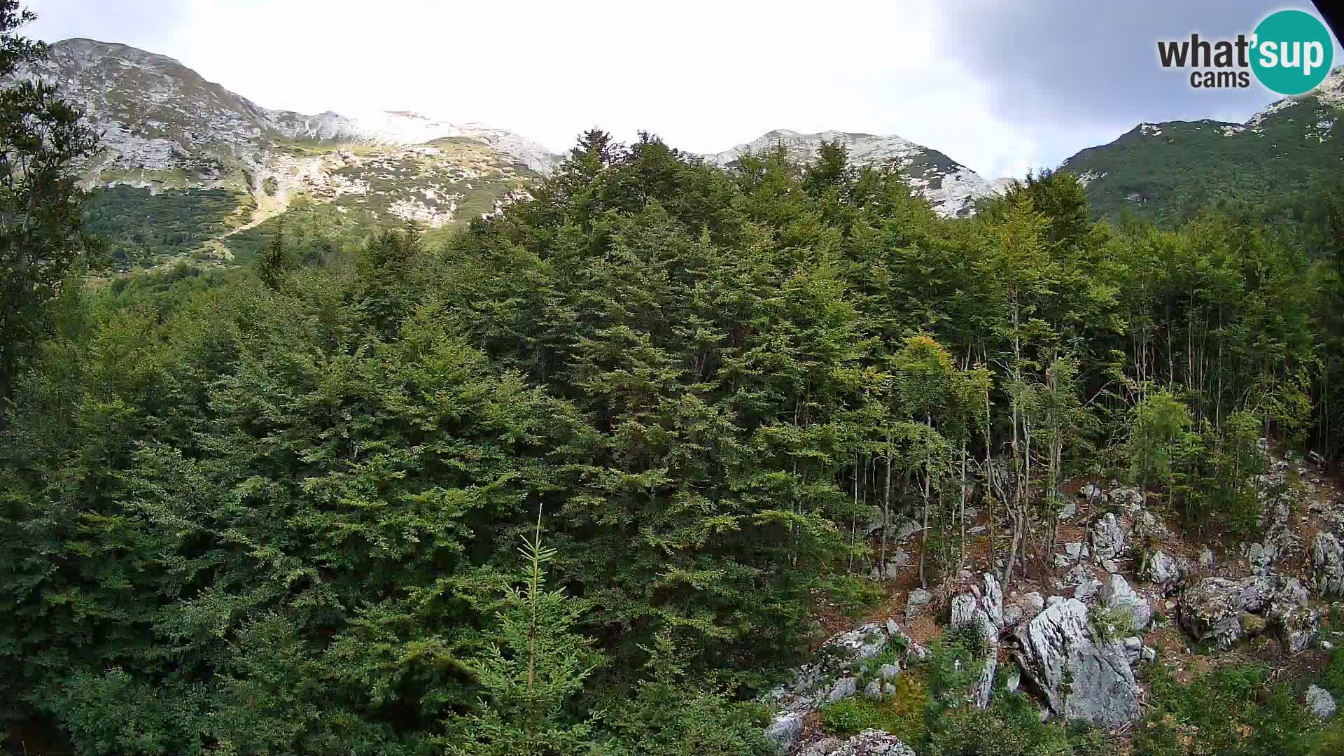PLANINA RAZOR webcam (1315) | view to Vogel and Globoko
