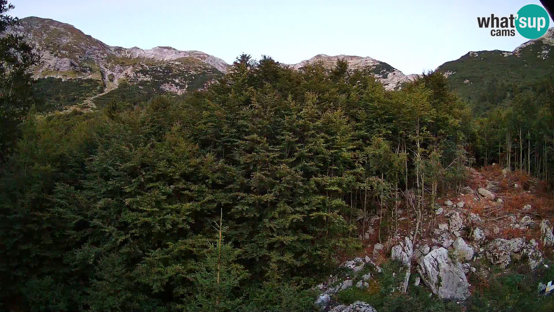 PLANINA RAZOR webcam (1315) | view to Vogel and Globoko