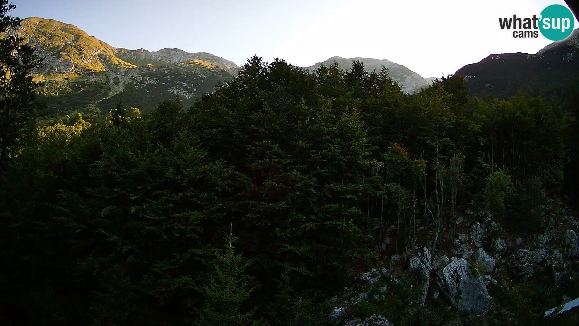 Webcam PLANINA RAZOR (1315) | Blick auf Vogel und Globoko