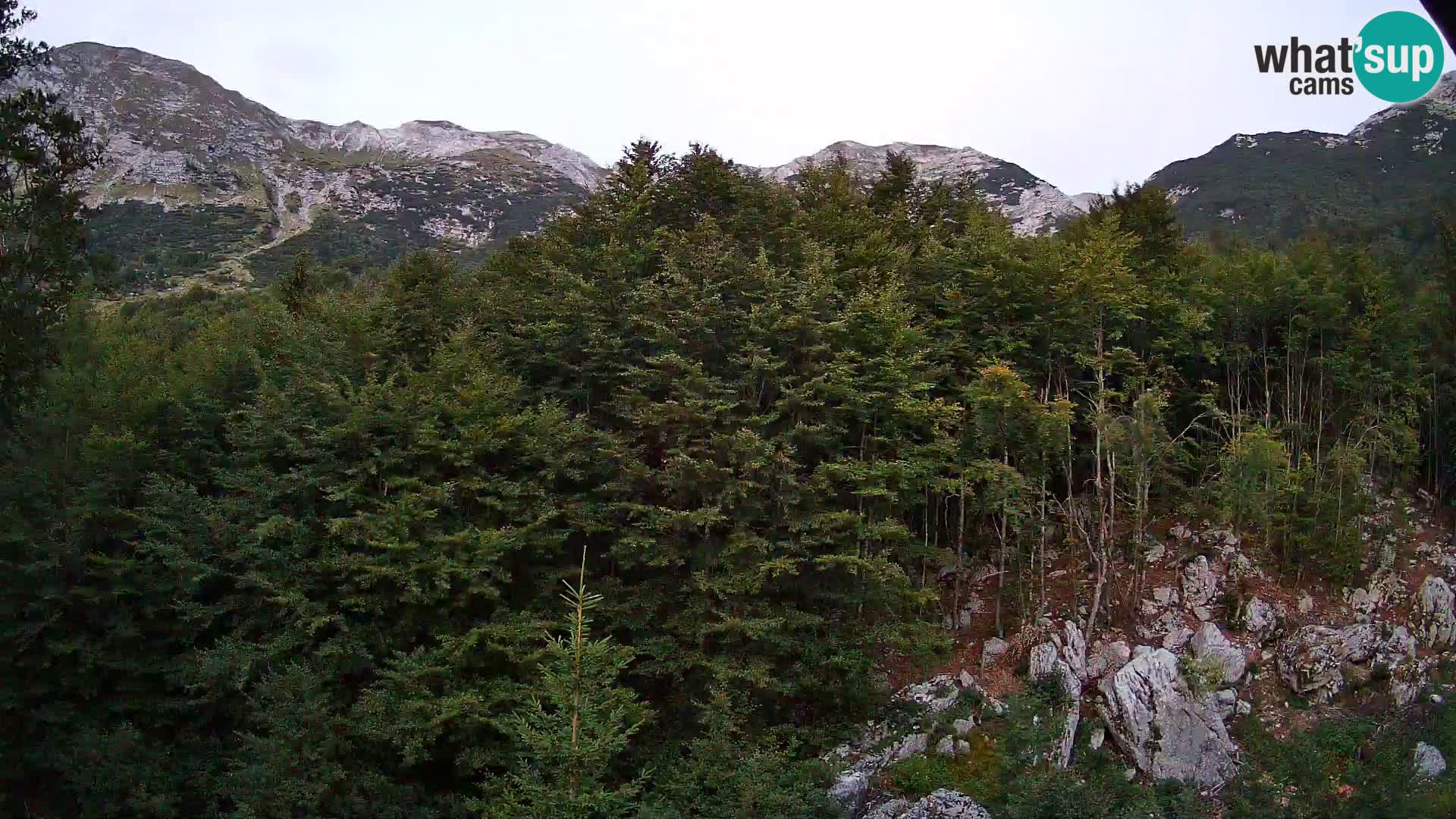 PLANINA RAZOR kamera (1315) | pogled na Vogel in Globoko