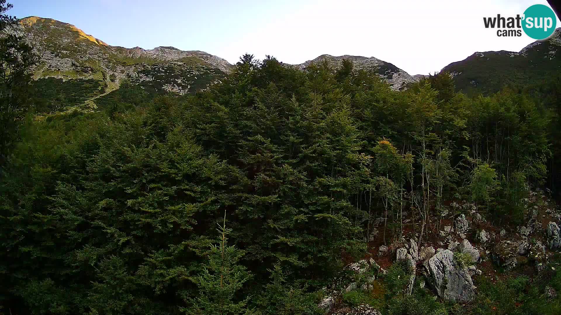 PLANINA RAZOR Live Cam (1315) | vista su Vogel e Globoko