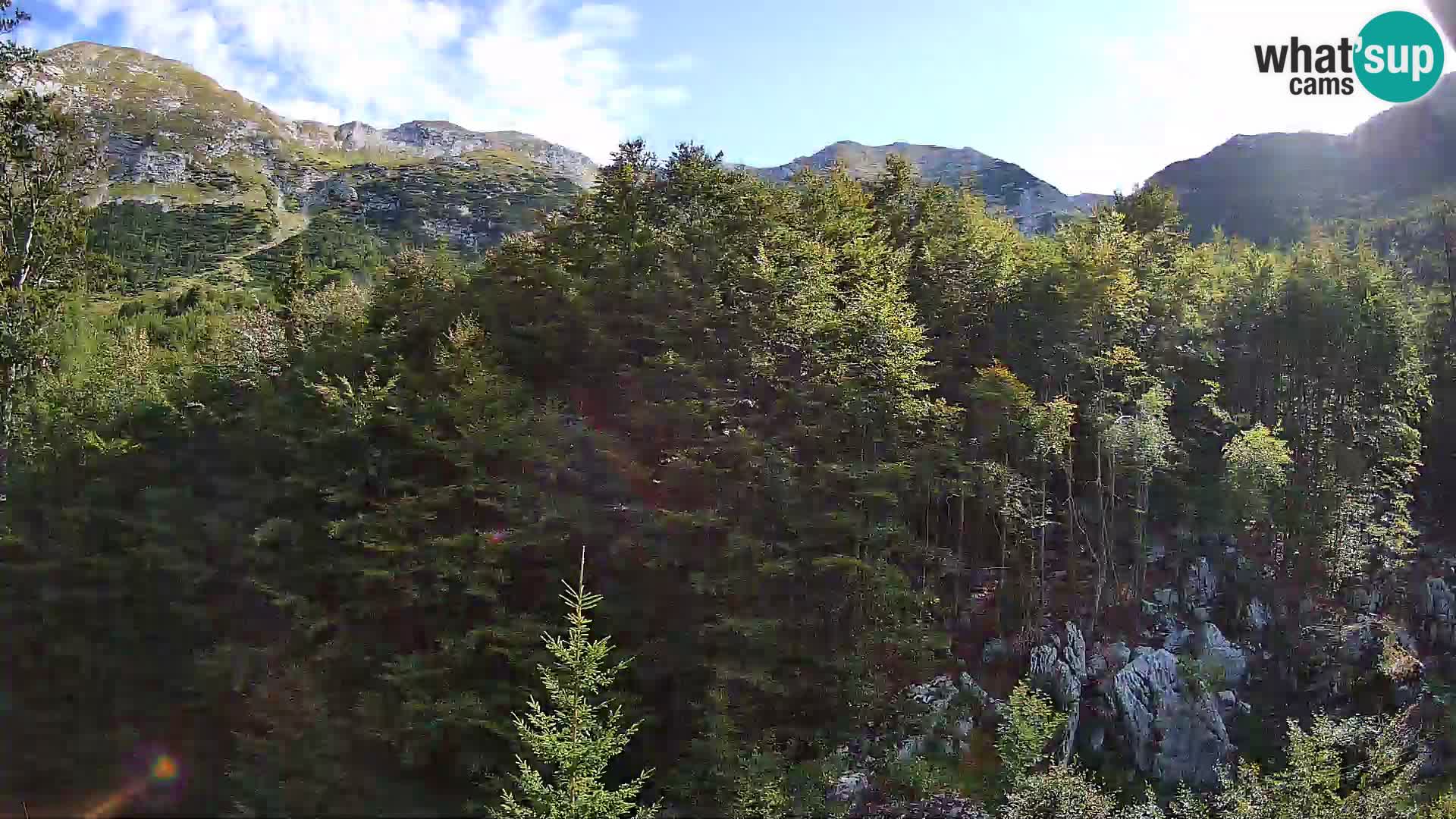 Livecam PLANINA RAZOR (1315) | vue sur Vogel et Globoko