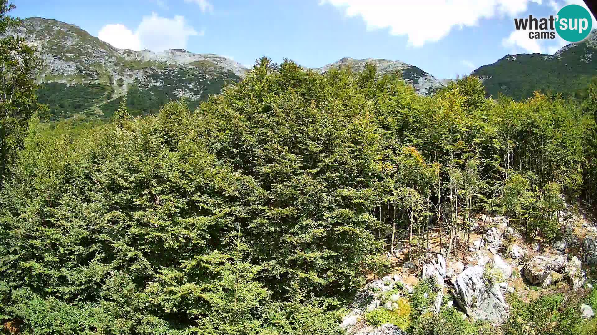 Webcam PLANINA RAZOR (1315) | Blick auf Vogel und Globoko