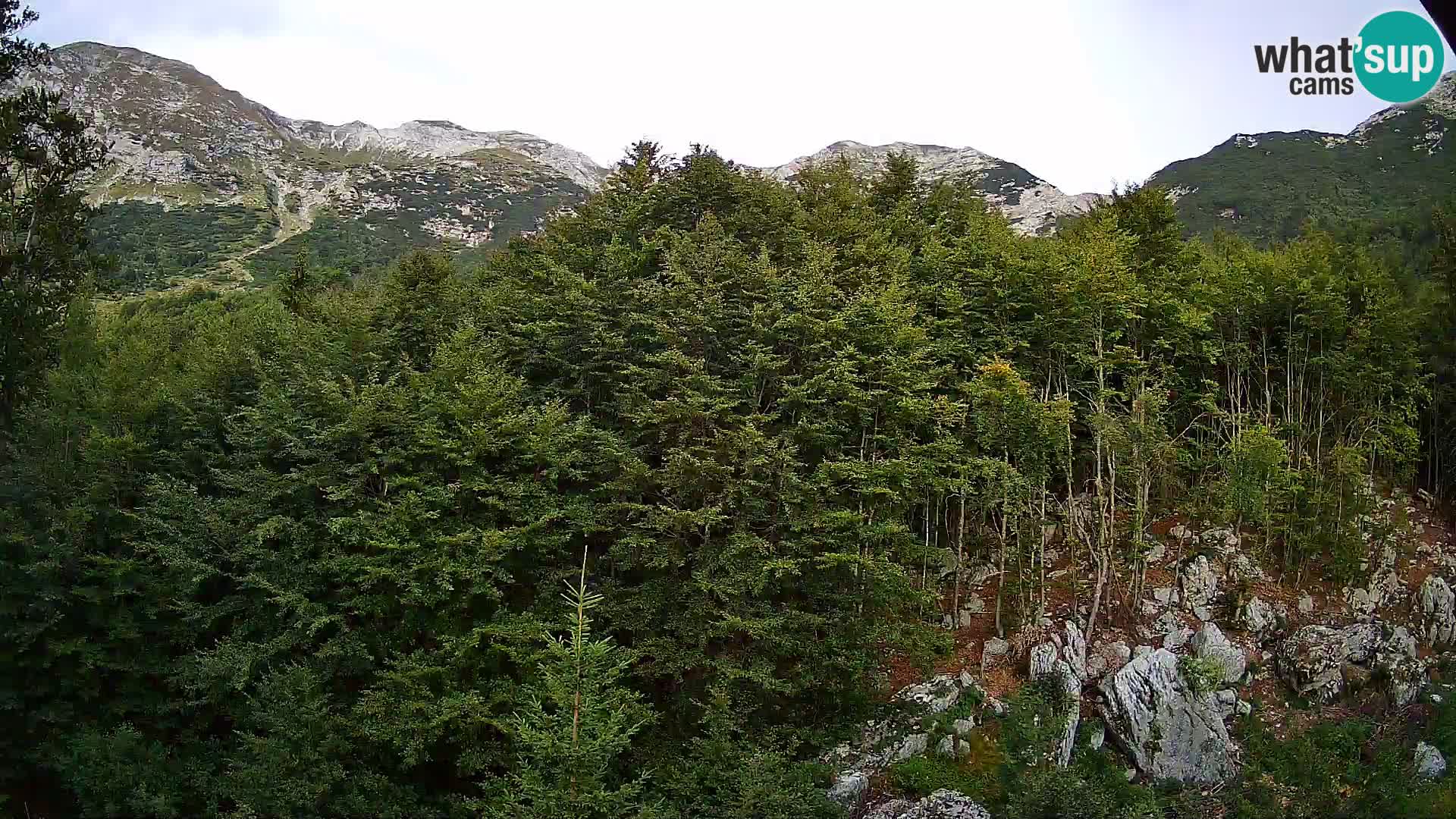 Cámara web PLANINA RAZOR (1315) | vista a Vogel y Globoko