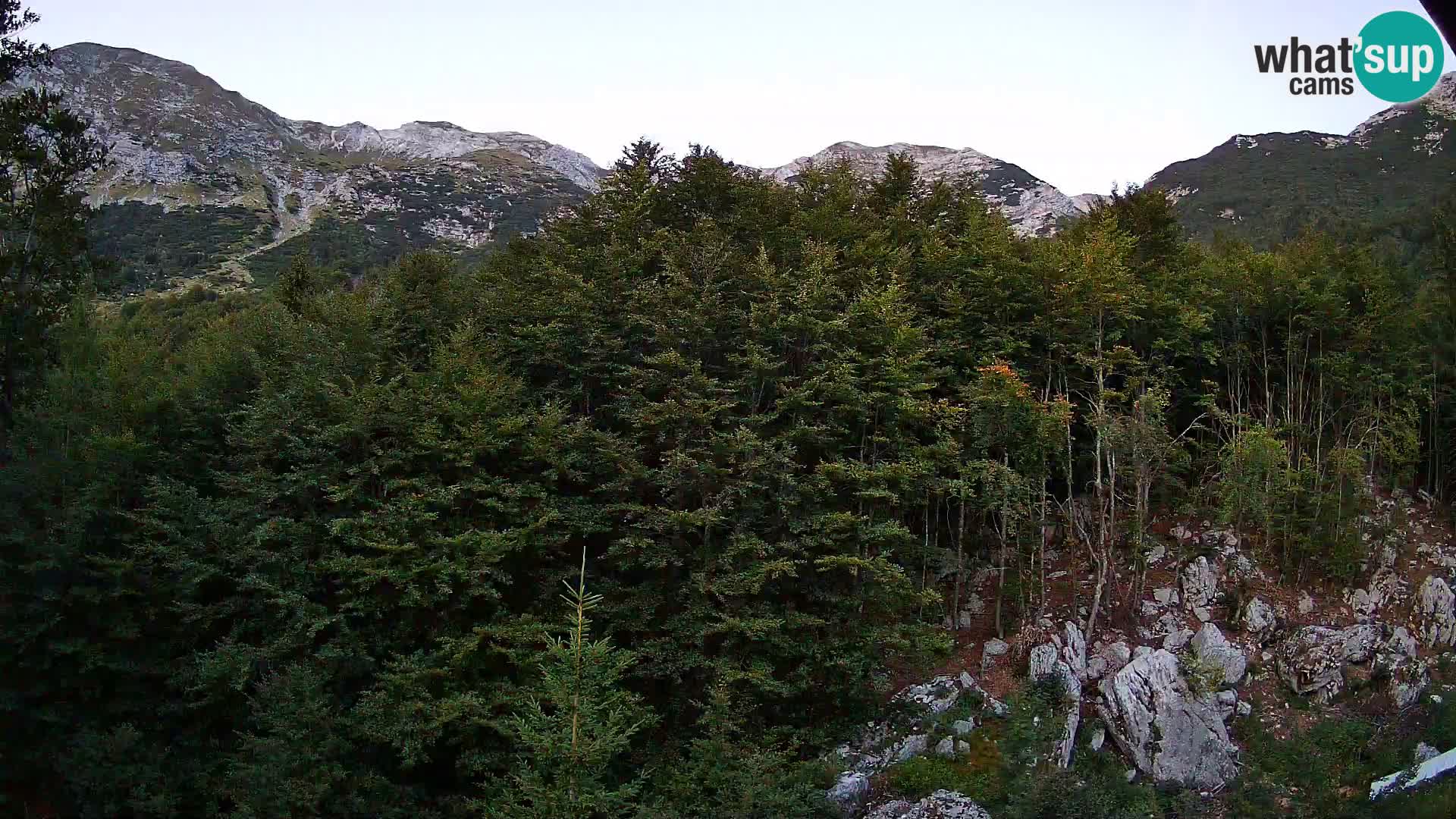 Webcam PLANINA RAZOR (1315) | Blick auf Vogel und Globoko