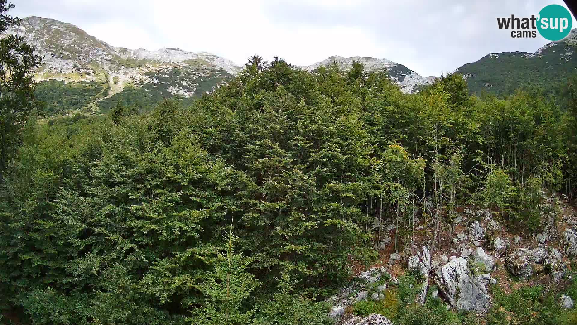 Webcam PLANINA RAZOR (1315) | Blick auf Vogel und Globoko