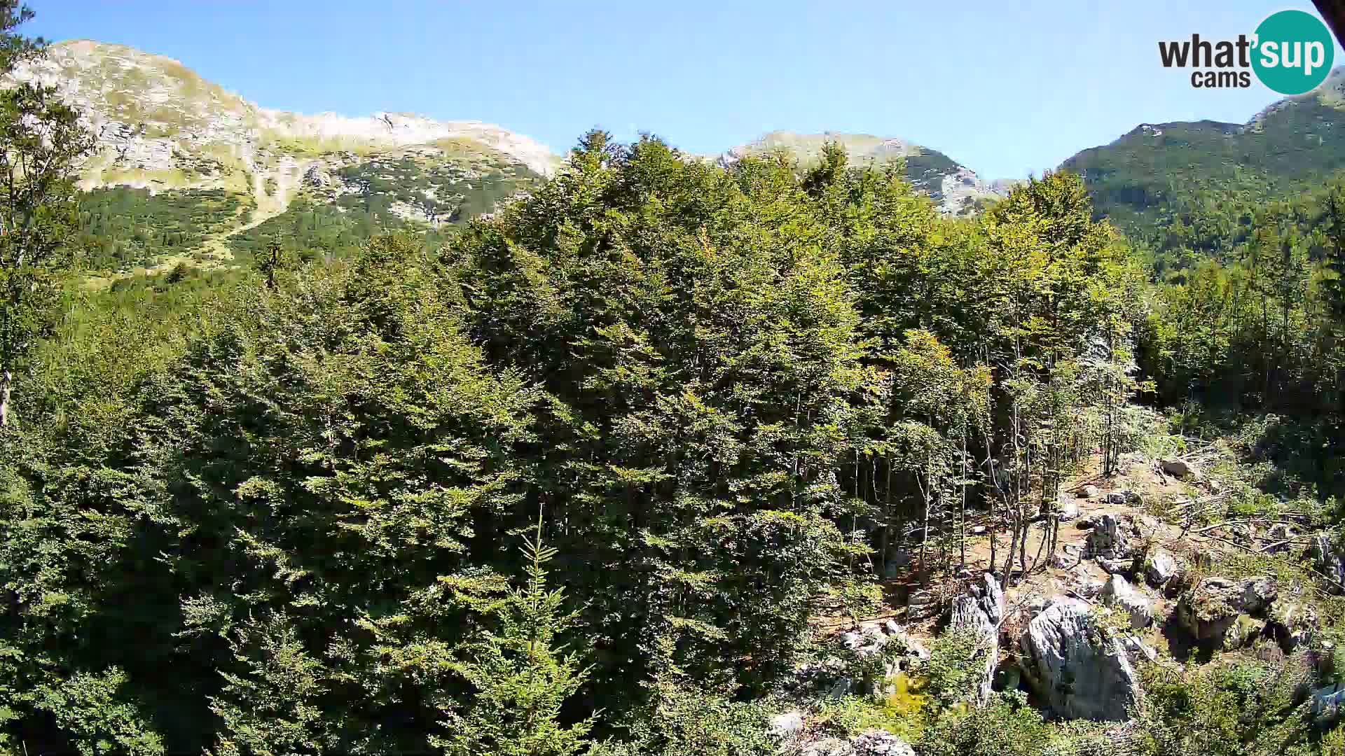 Livecam PLANINA RAZOR (1315) | vue sur Vogel et Globoko